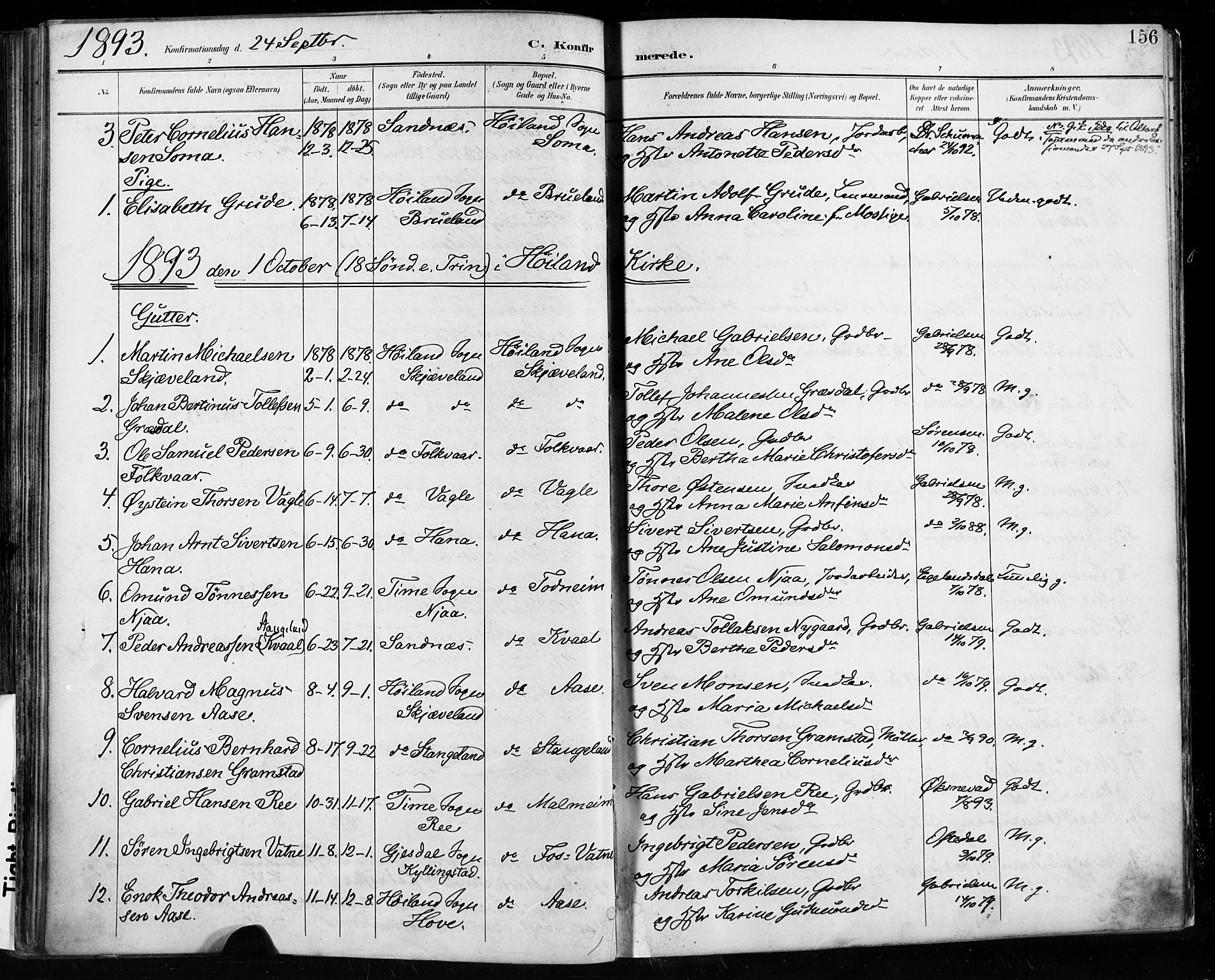 Høyland sokneprestkontor, SAST/A-101799/001/30BA/L0013: Parish register (official) no. A 13.1, 1889-1898, p. 156