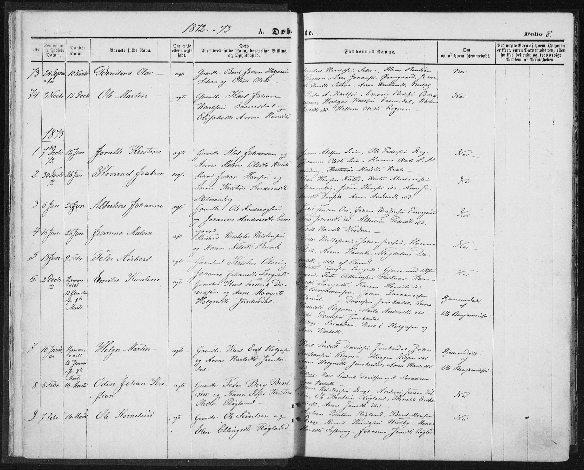 Ministerialprotokoller, klokkerbøker og fødselsregistre - Nordland, SAT/A-1459/847/L0668: Parish register (official) no. 847A08, 1872-1886, p. 8