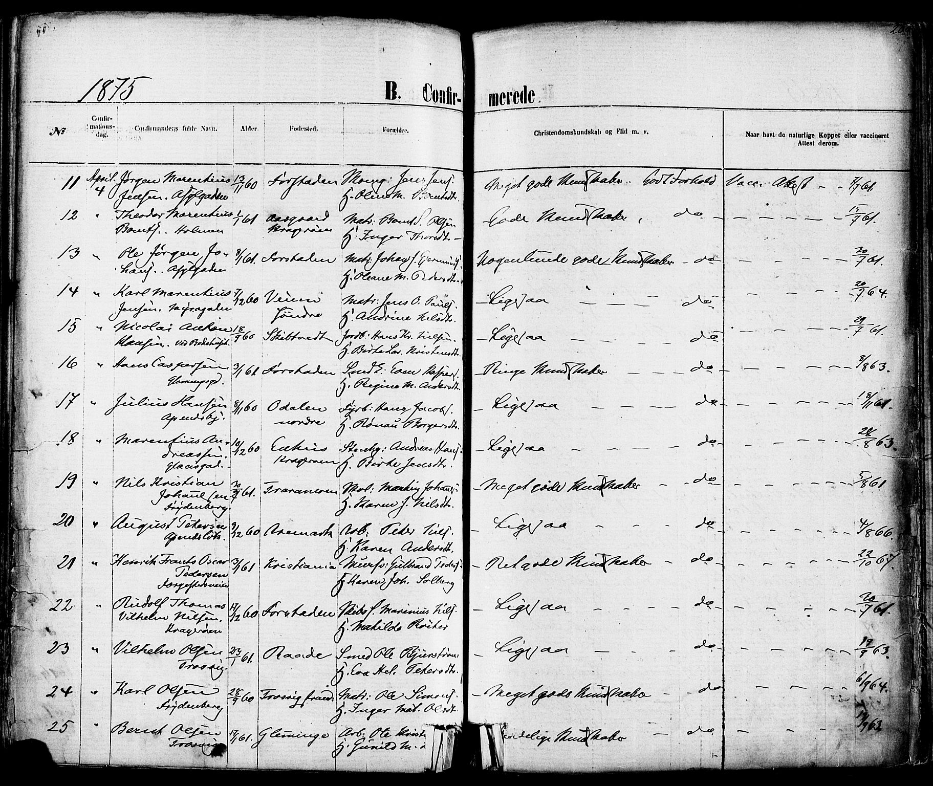 Fredrikstad domkirkes prestekontor Kirkebøker, AV/SAO-A-10906/F/Fa/L0001: Parish register (official) no. 1, 1871-1878, p. 206