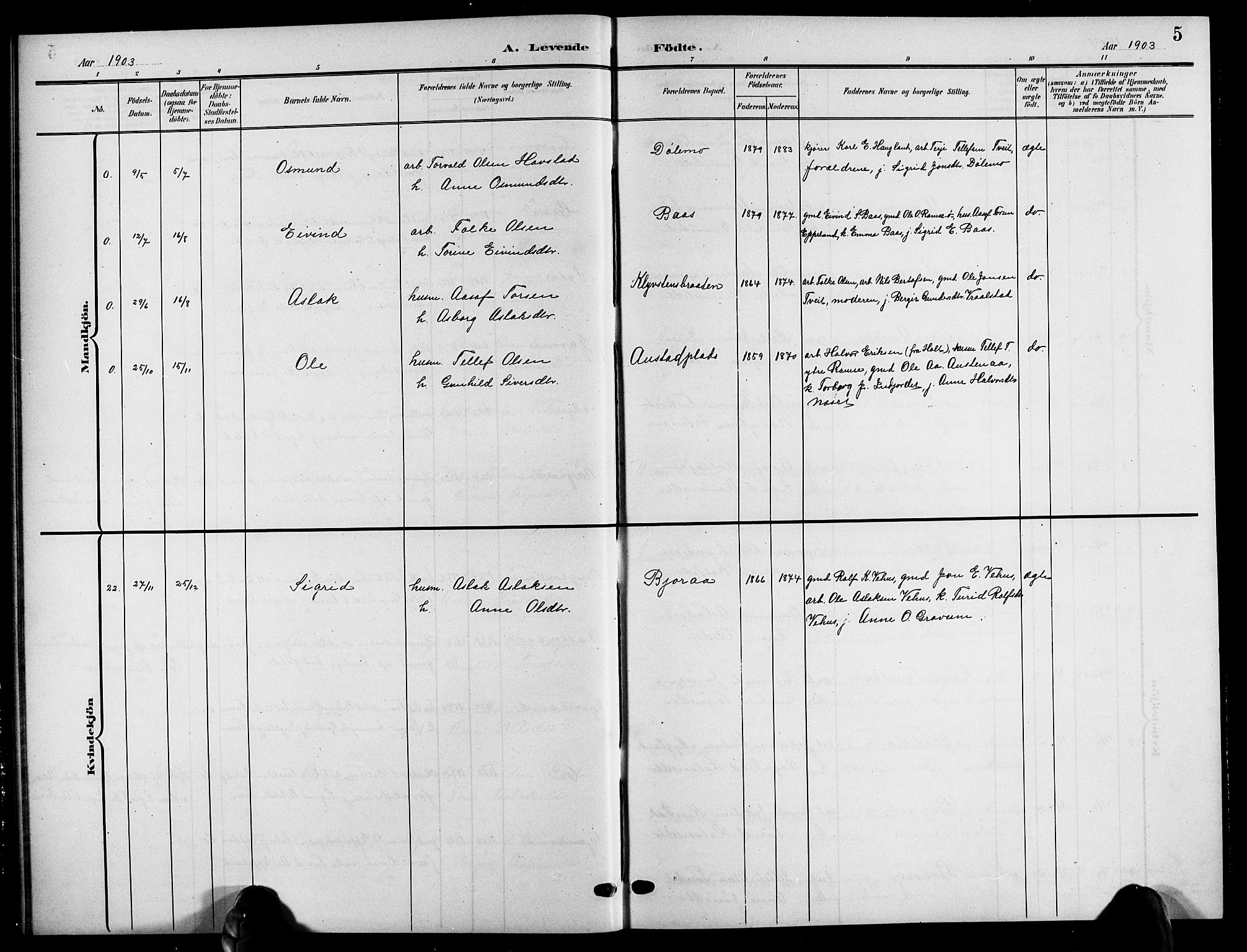 Åmli sokneprestkontor, SAK/1111-0050/F/Fb/Fbc/L0005: Parish register (copy) no. B 5, 1903-1916, p. 5