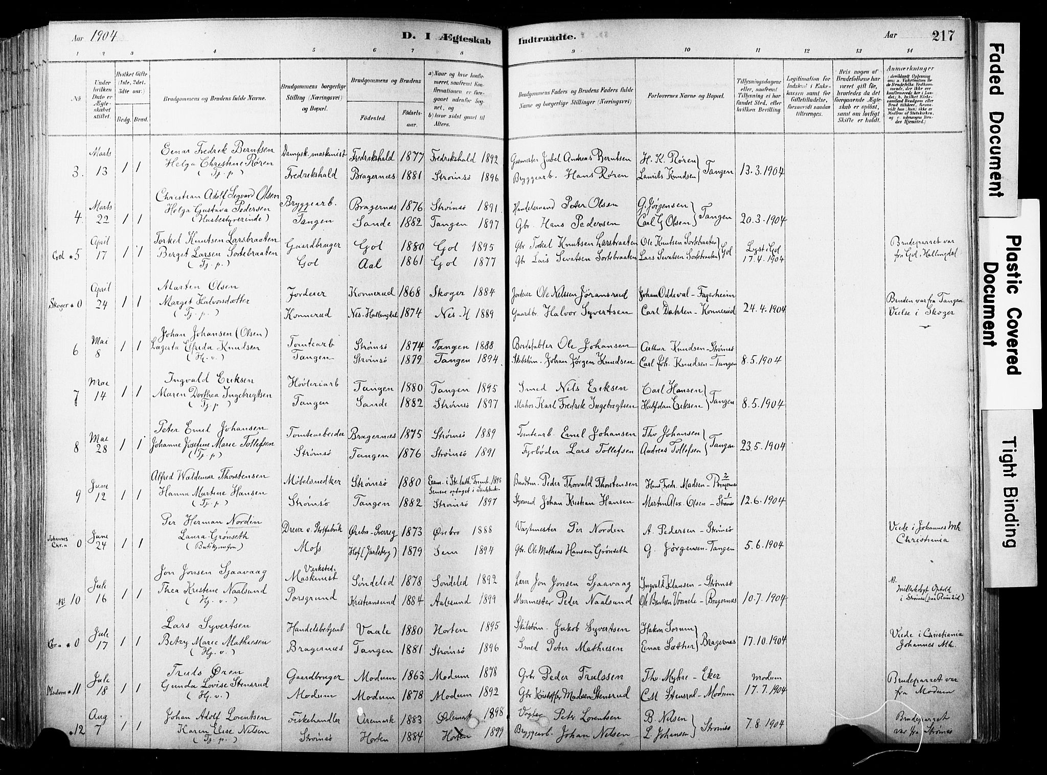 Strømsø kirkebøker, SAKO/A-246/F/Fb/L0006: Parish register (official) no. II 6, 1879-1910, p. 217