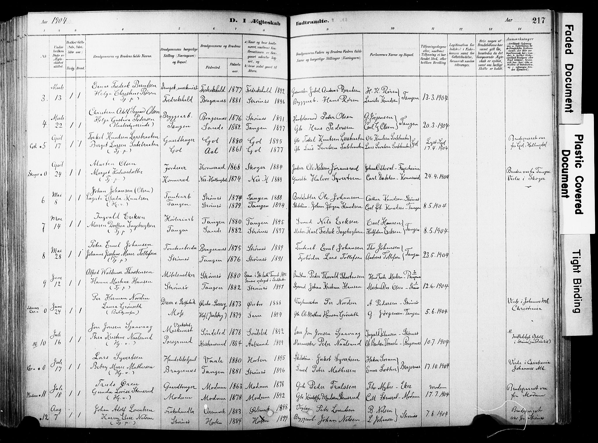 Strømsø kirkebøker, AV/SAKO-A-246/F/Fb/L0006: Parish register (official) no. II 6, 1879-1910, p. 217