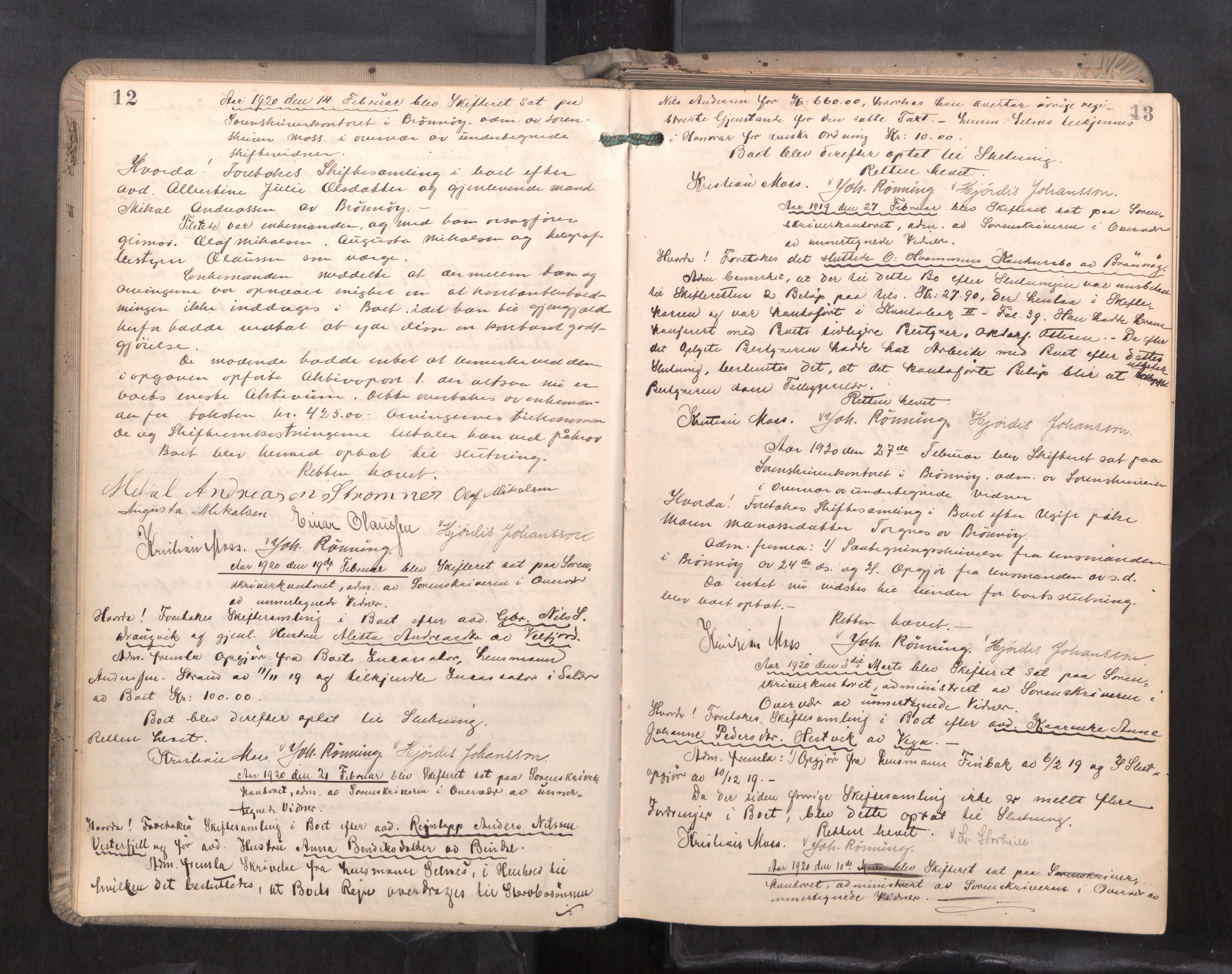 Brønnøy sorenskriveri, AV/SAT-A-4170/1/3/3B/L0001: Skiftebehandlingsprotokoll, 1919-1928, p. 12-13