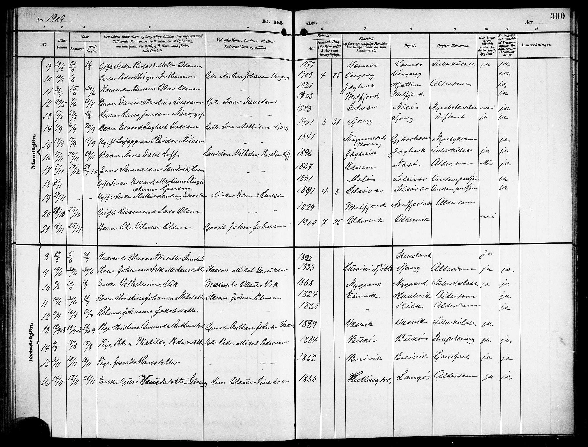 Ministerialprotokoller, klokkerbøker og fødselsregistre - Nordland, AV/SAT-A-1459/841/L0621: Parish register (copy) no. 841C05, 1897-1923, p. 300