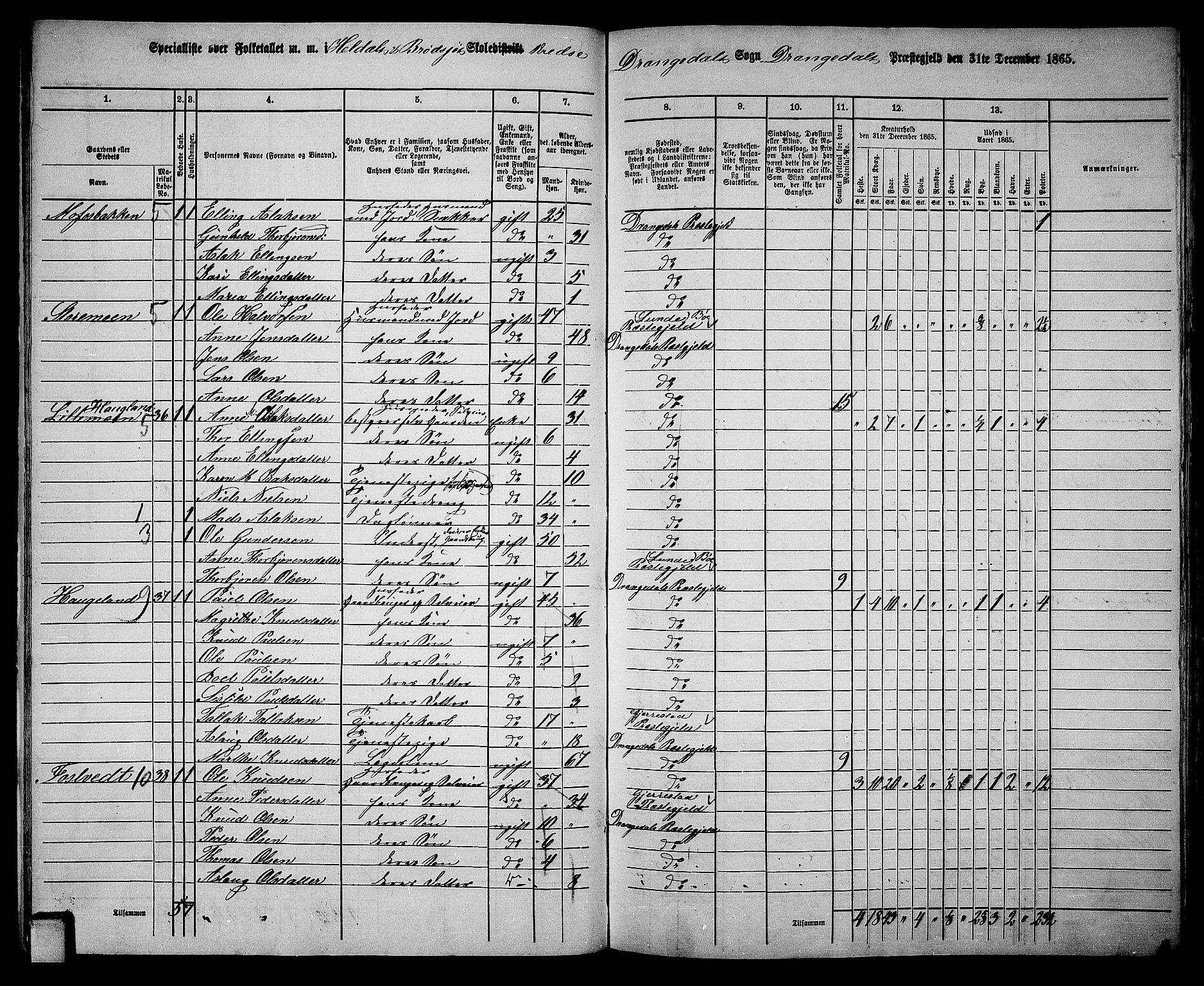 RA, 1865 census for Drangedal, 1865, p. 20