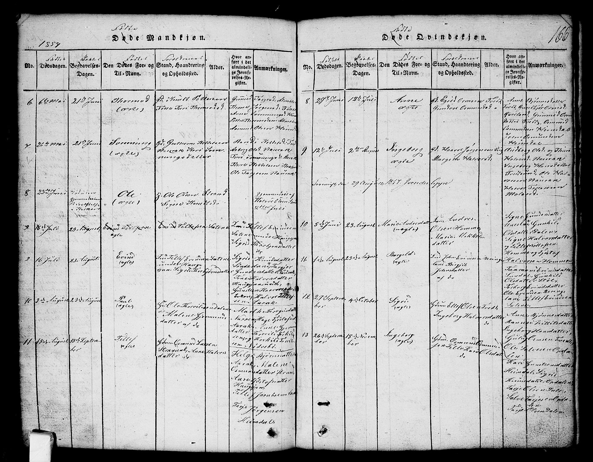 Nissedal kirkebøker, SAKO/A-288/G/Gb/L0001: Parish register (copy) no. II 1, 1814-1862, p. 166
