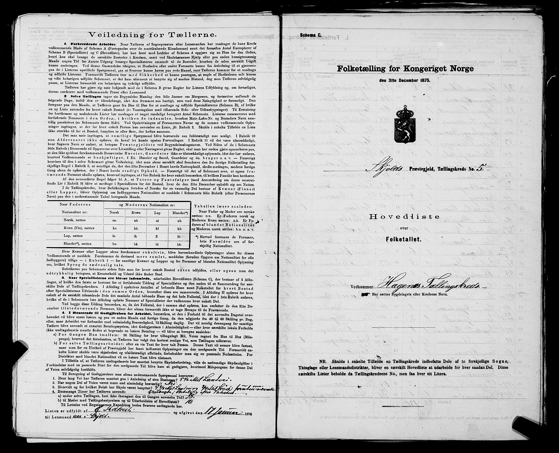 SAST, 1875 census for 1154P Skjold, 1875, p. 13