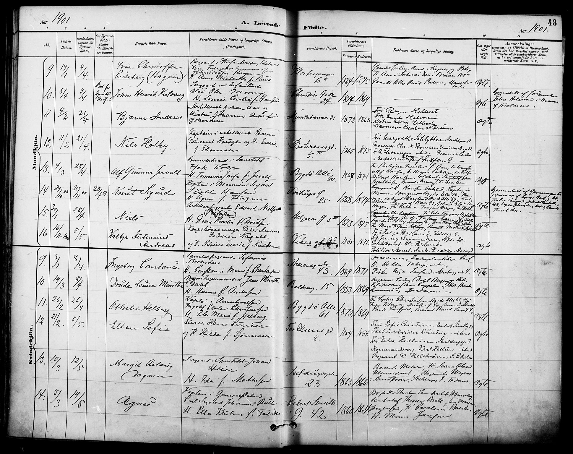 Garnisonsmenigheten Kirkebøker, SAO/A-10846/F/Fa/L0013: Parish register (official) no. 13, 1894-1904, p. 43