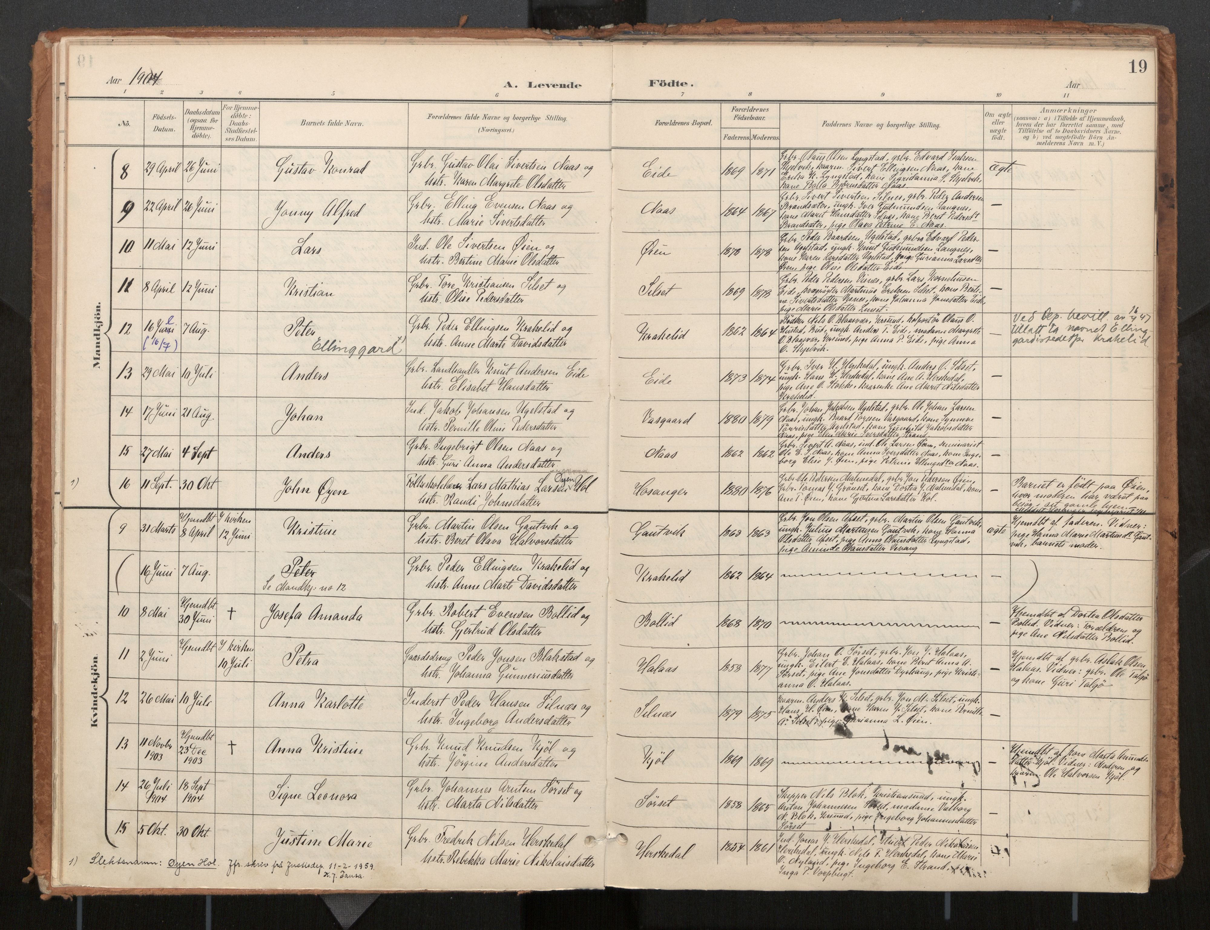 Ministerialprotokoller, klokkerbøker og fødselsregistre - Møre og Romsdal, SAT/A-1454/571/L0836a: Parish register (official) no. 571A02, 1898-1910, p. 19