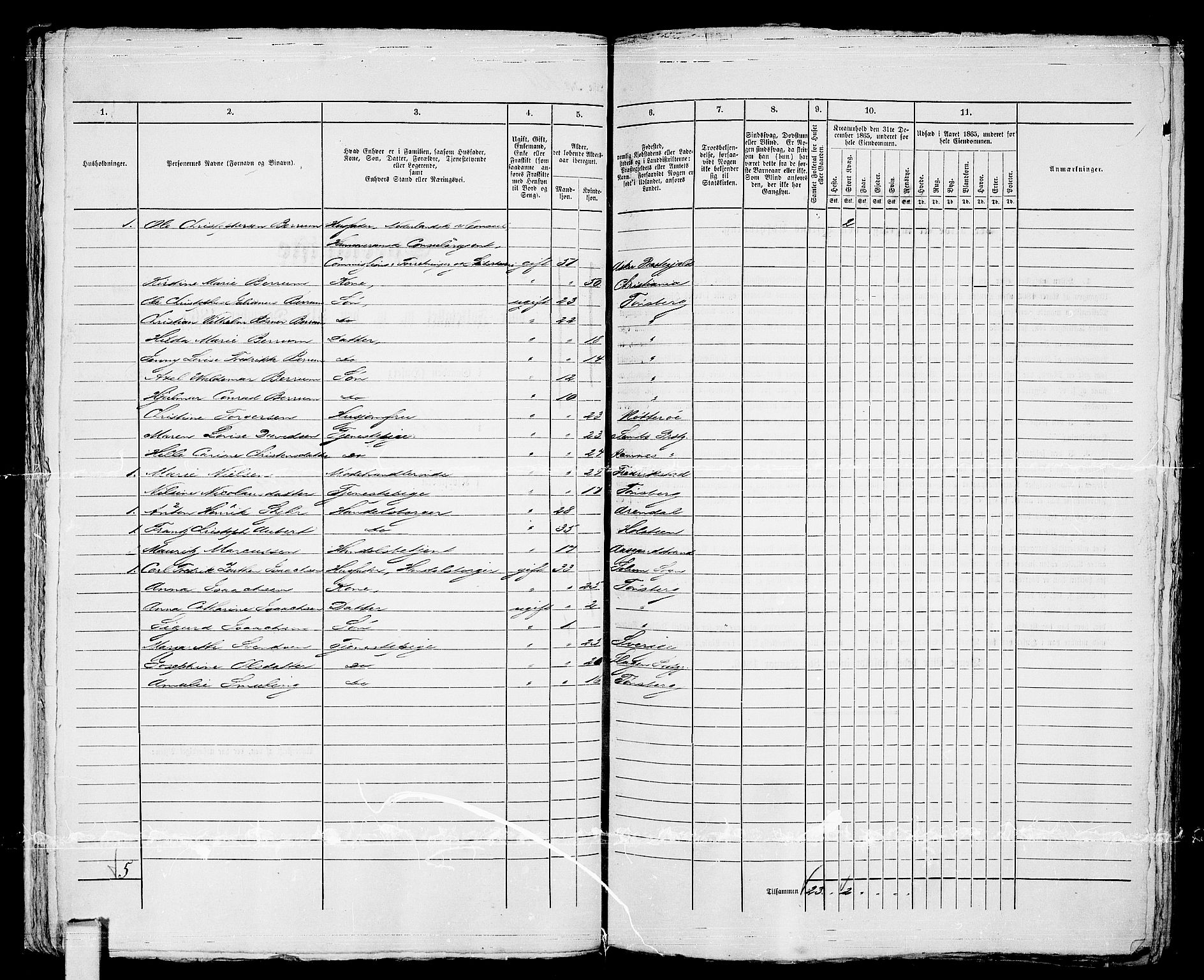 RA, 1865 census for Tønsberg, 1865, p. 223