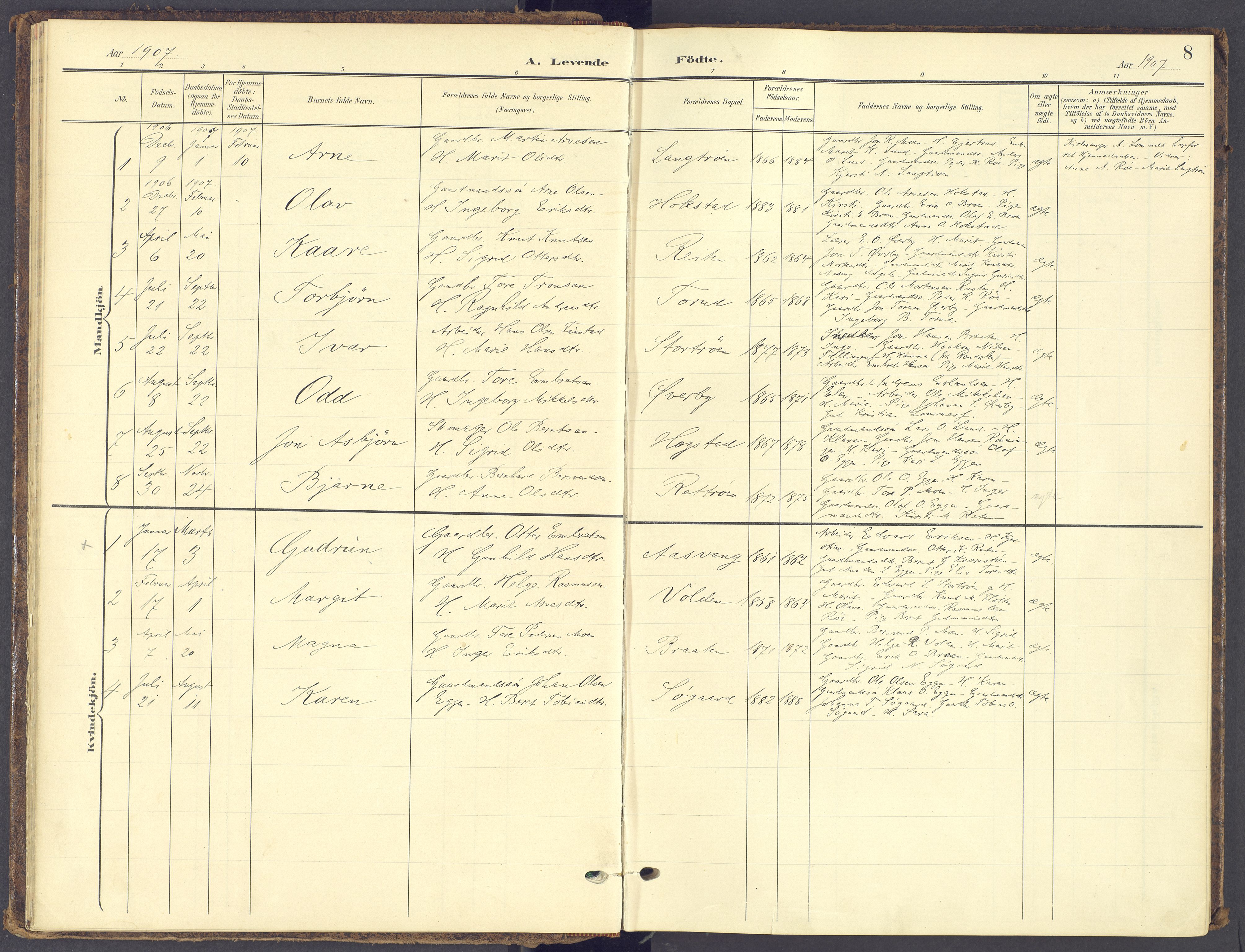 Tynset prestekontor, SAH/PREST-058/H/Ha/Haa/L0028: Parish register (official) no. 28, 1902-1929, p. 8