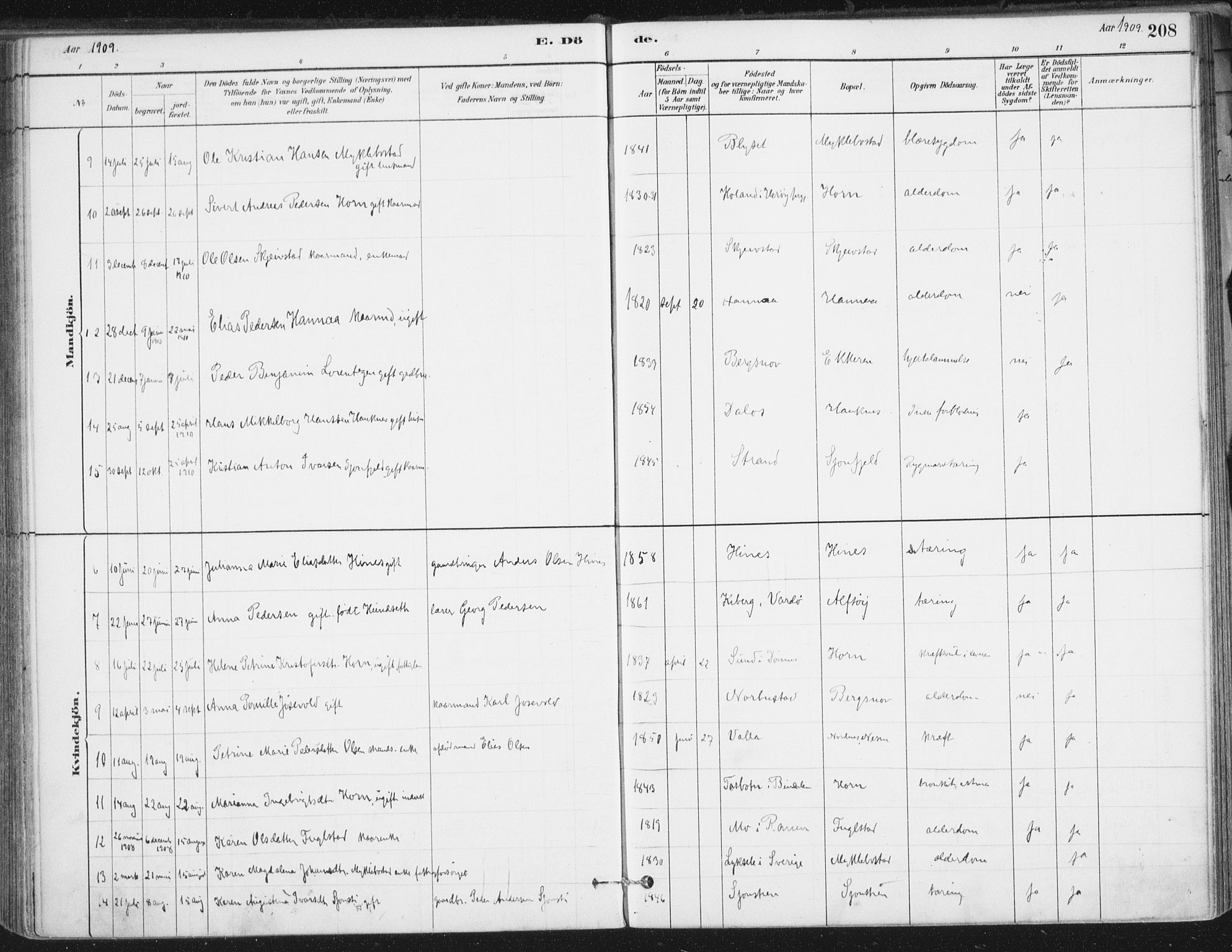 Ministerialprotokoller, klokkerbøker og fødselsregistre - Nordland, SAT/A-1459/838/L0553: Parish register (official) no. 838A11, 1880-1910, p. 208