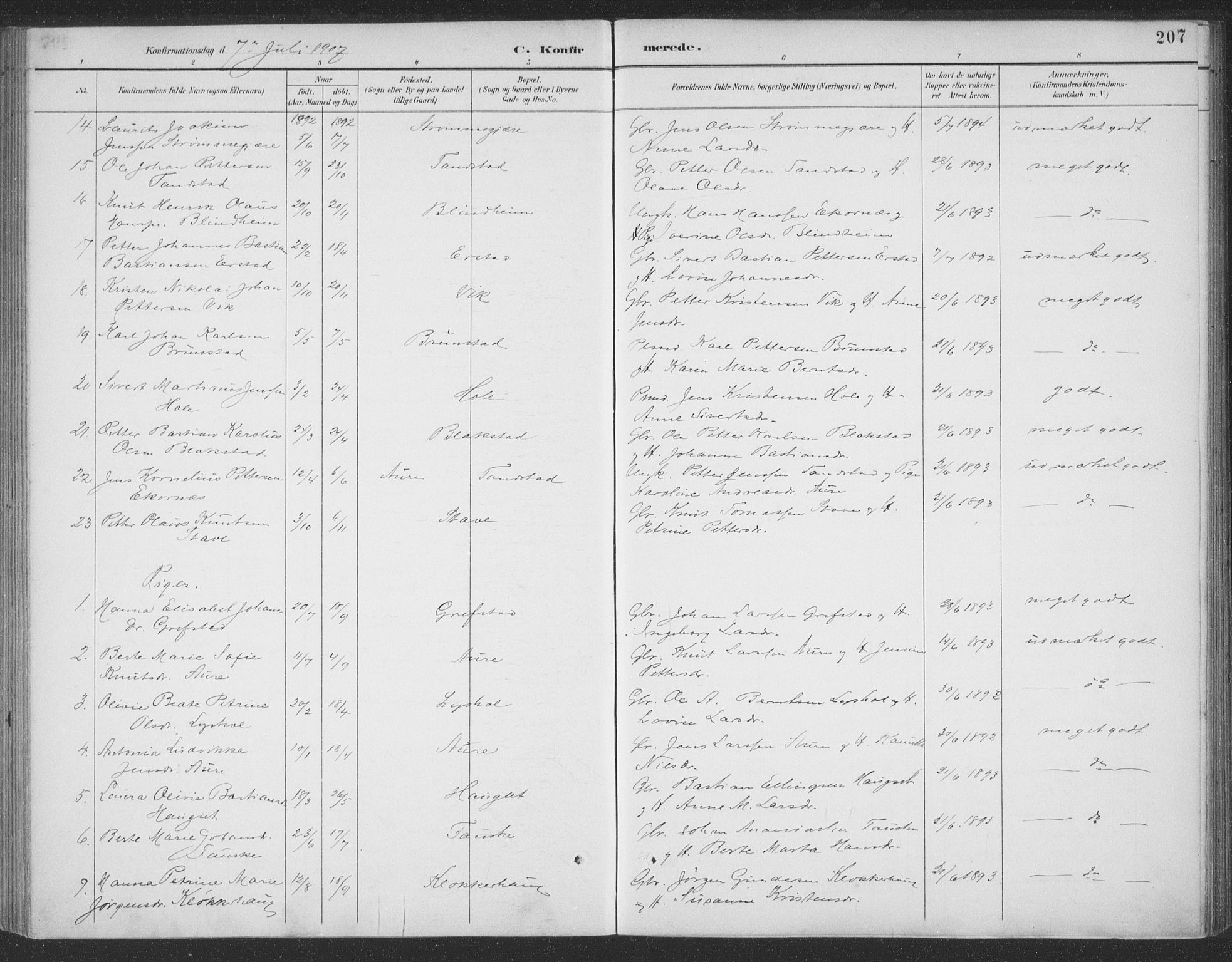 Ministerialprotokoller, klokkerbøker og fødselsregistre - Møre og Romsdal, SAT/A-1454/523/L0335: Parish register (official) no. 523A02, 1891-1911, p. 207