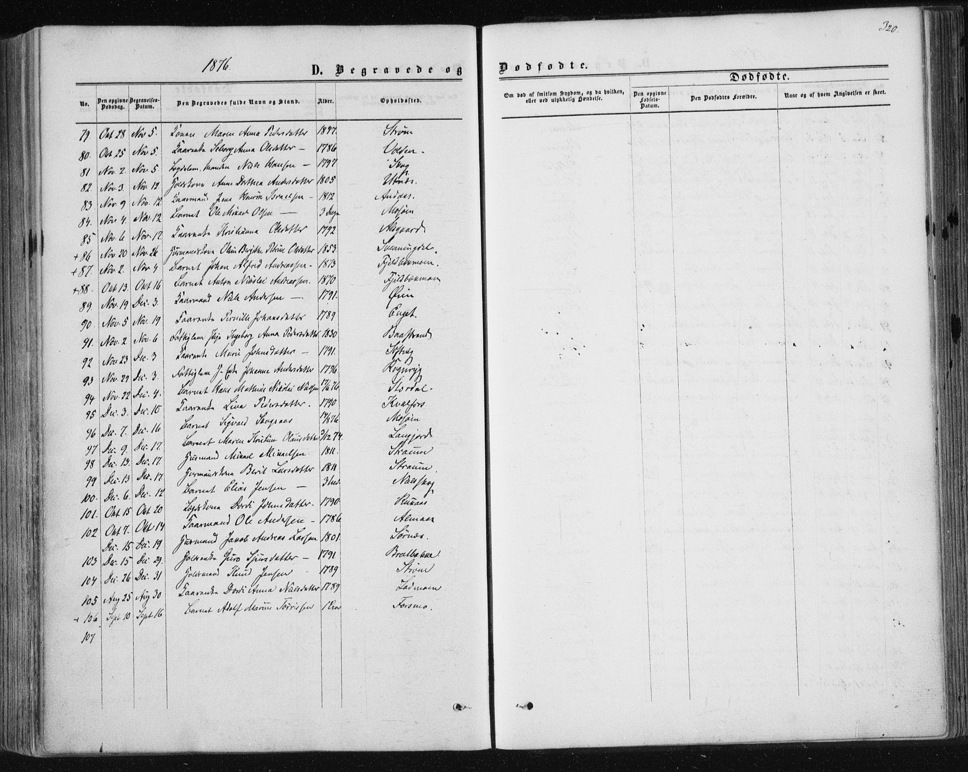 Ministerialprotokoller, klokkerbøker og fødselsregistre - Nordland, SAT/A-1459/820/L0294: Parish register (official) no. 820A15, 1866-1879, p. 320