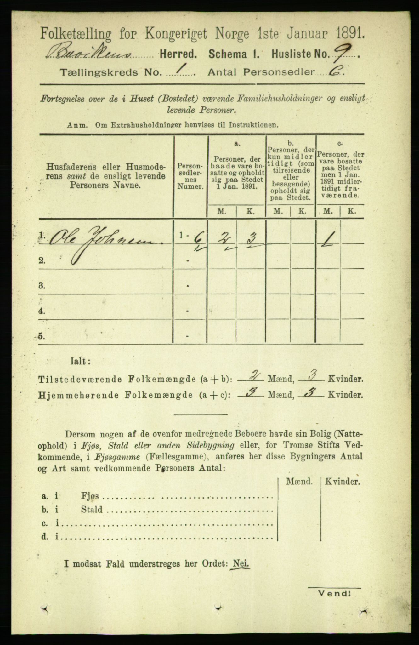 RA, 1891 census for 1656 Buvik, 1891, p. 20