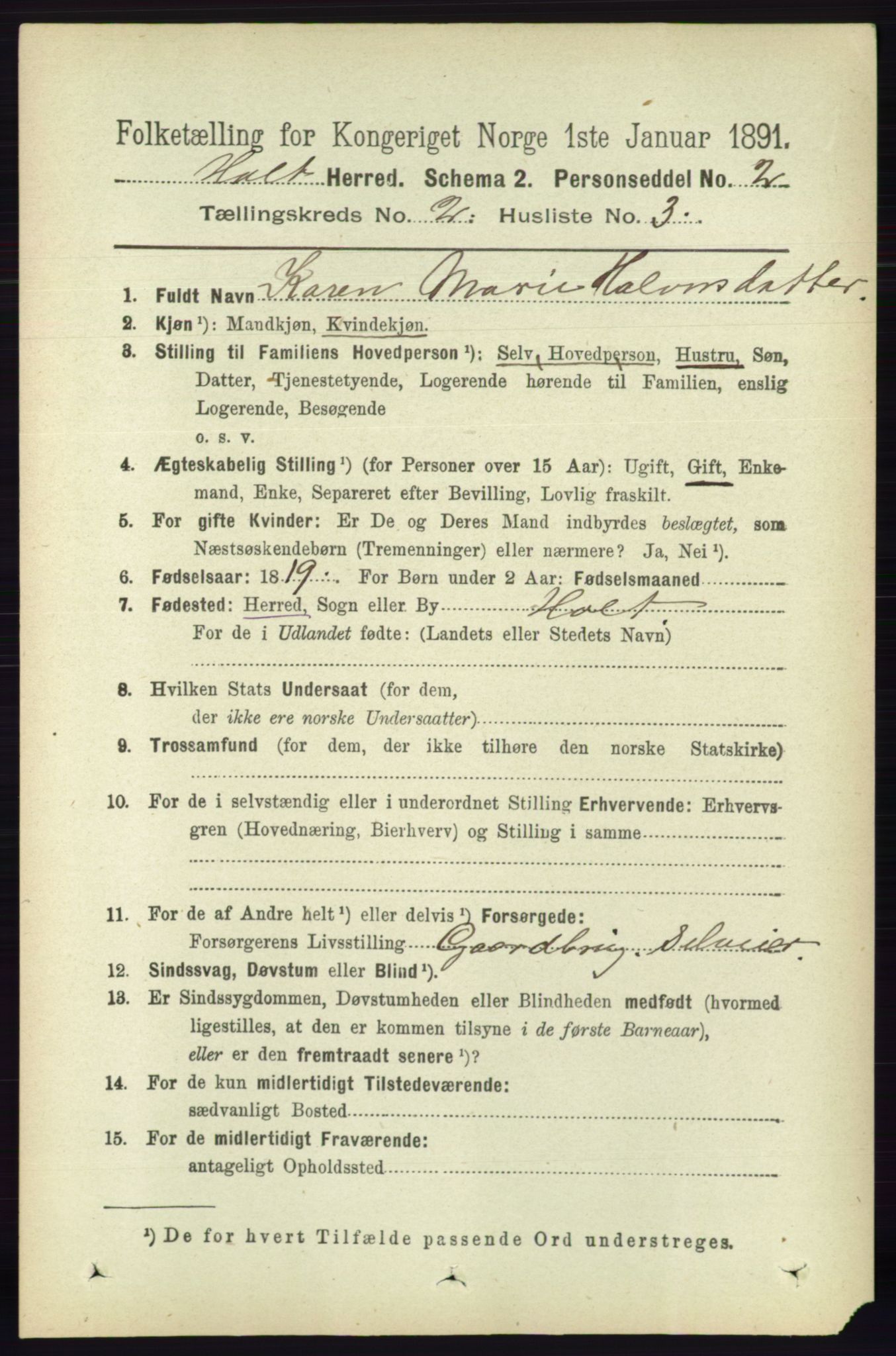 RA, 1891 census for 0914 Holt, 1891, p. 675