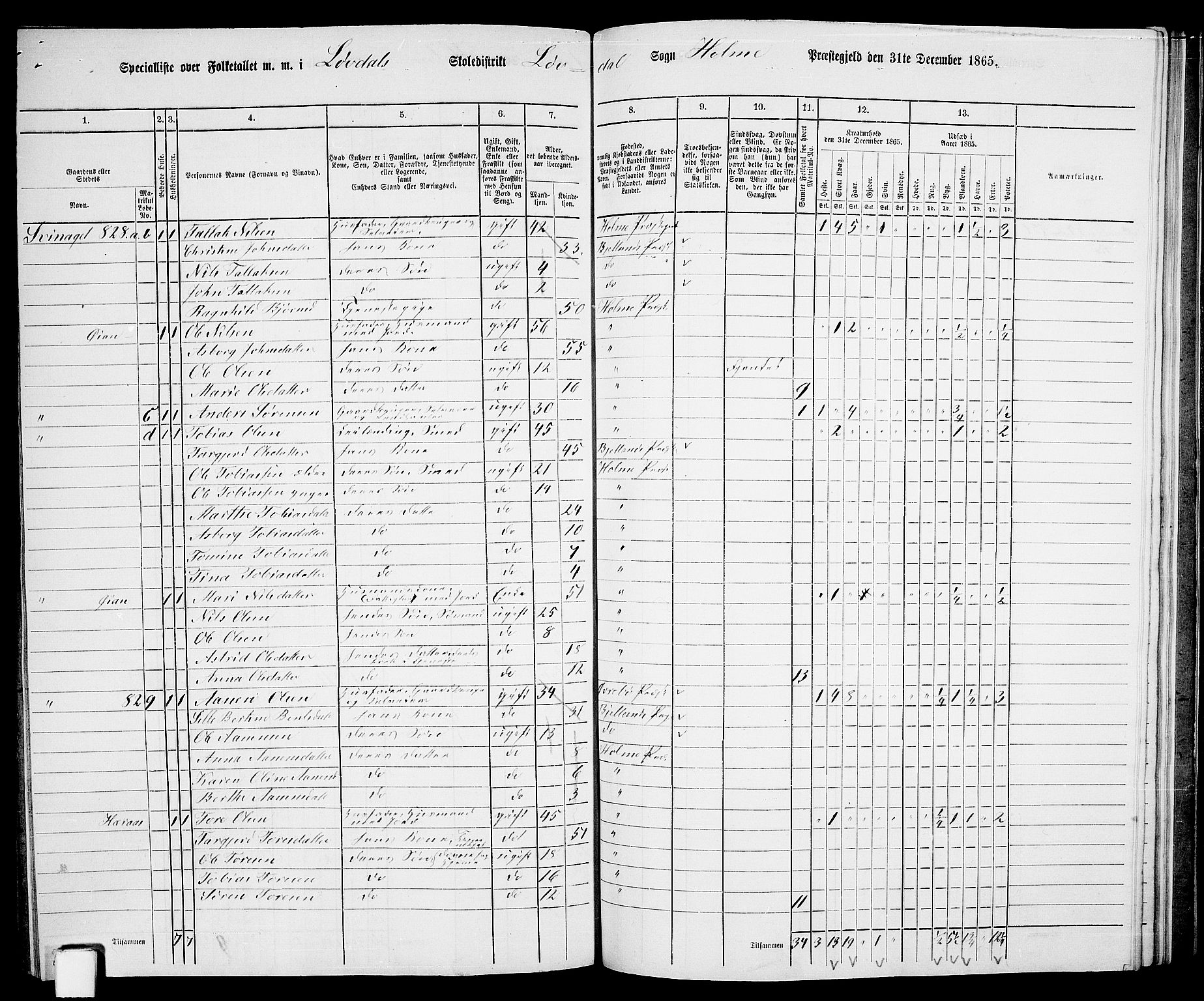 RA, 1865 census for Holum, 1865, p. 145