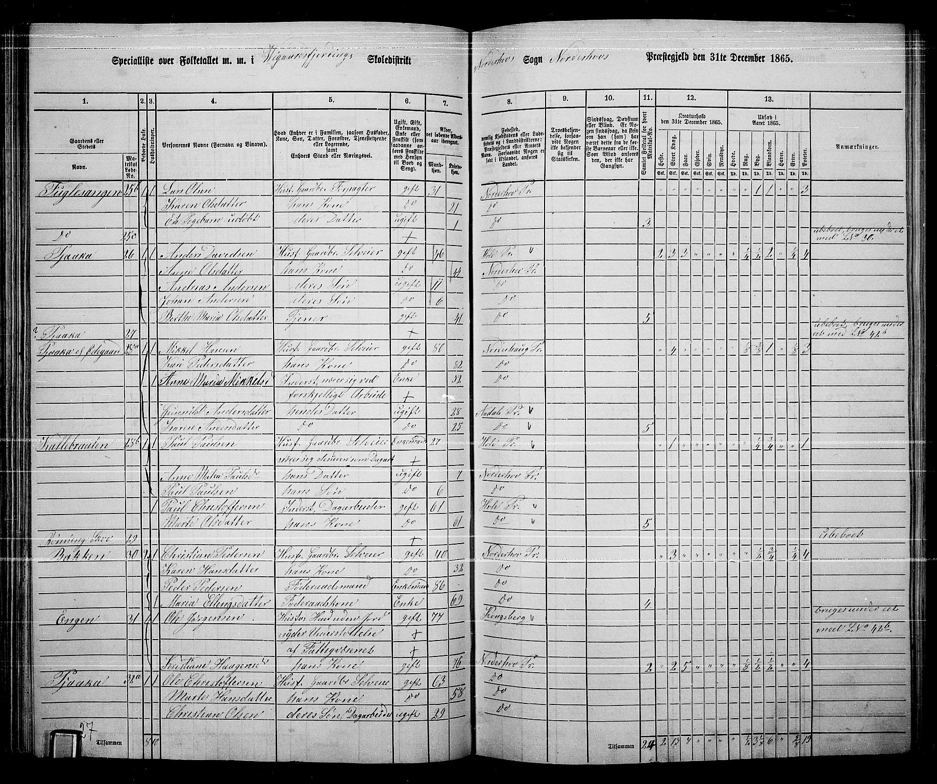 RA, 1865 census for Norderhov/Norderhov, Haug og Lunder, 1865, p. 119