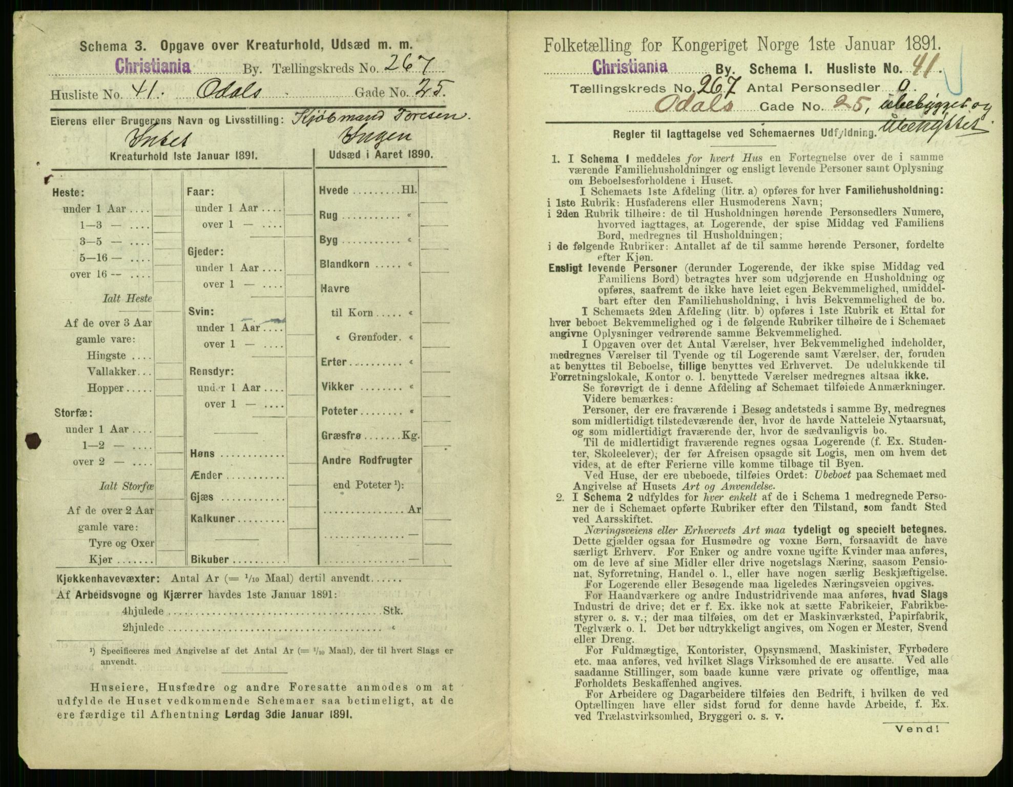 RA, 1891 census for 0301 Kristiania, 1891, p. 161545