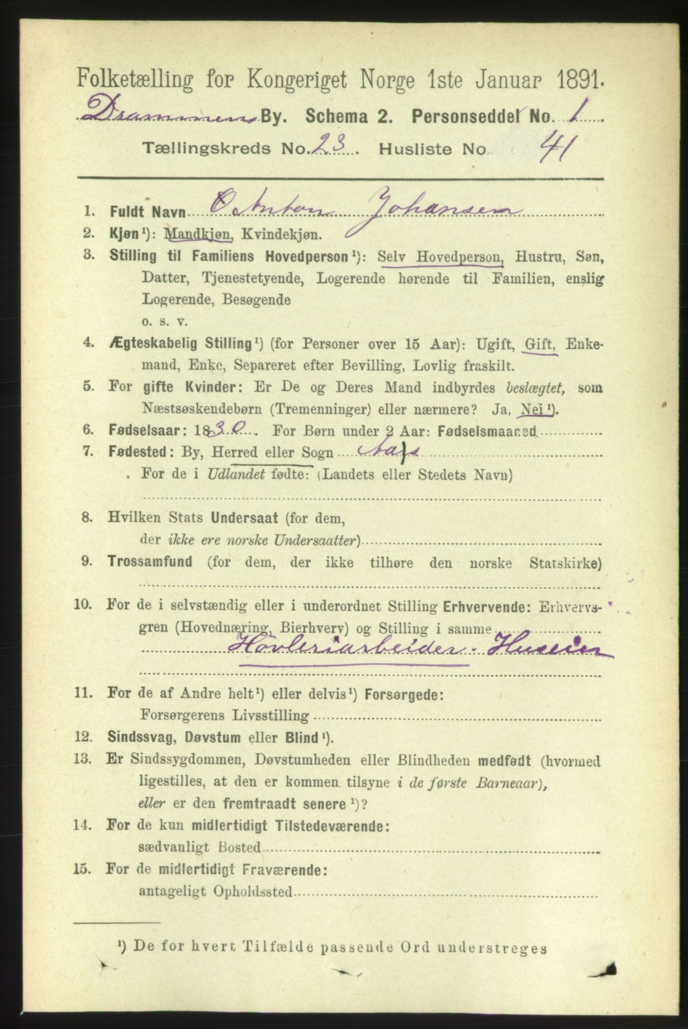 RA, 1891 census for 0602 Drammen, 1891, p. 14695