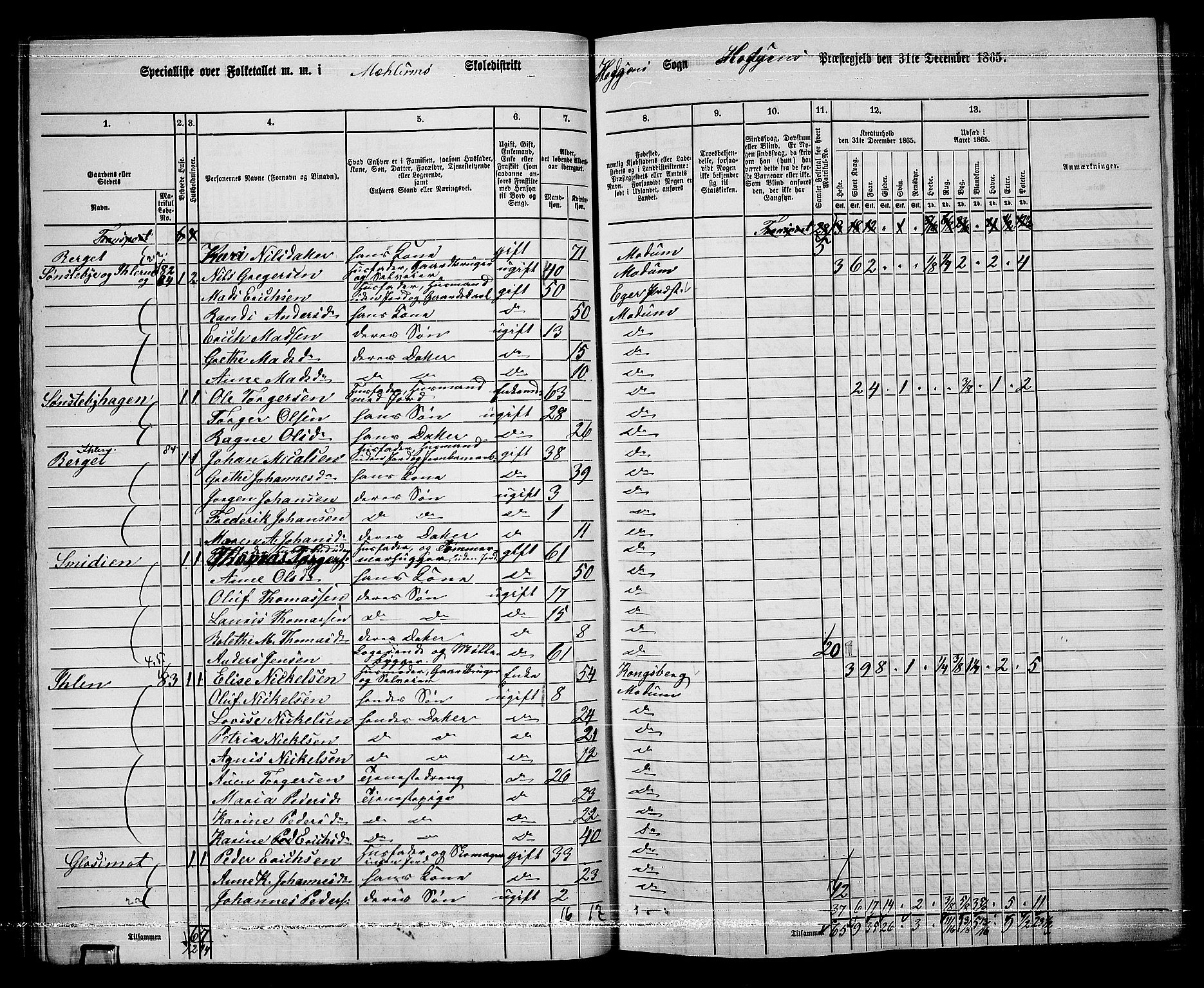 RA, 1865 census for Modum, 1865, p. 68