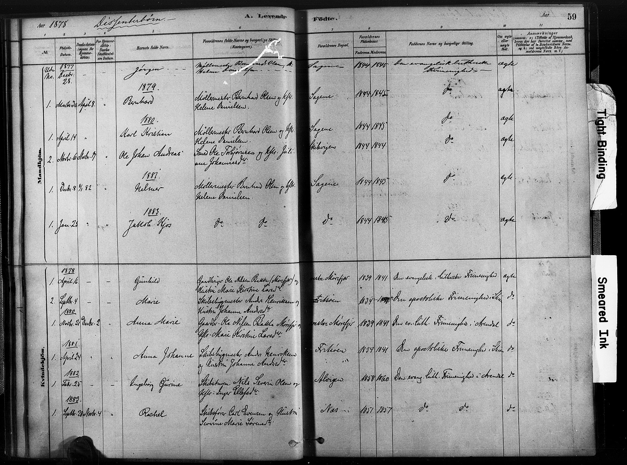 Austre Moland sokneprestkontor, SAK/1111-0001/F/Fa/Fab/L0001: Parish register (official) no. A 1, 1878-1898, p. 59