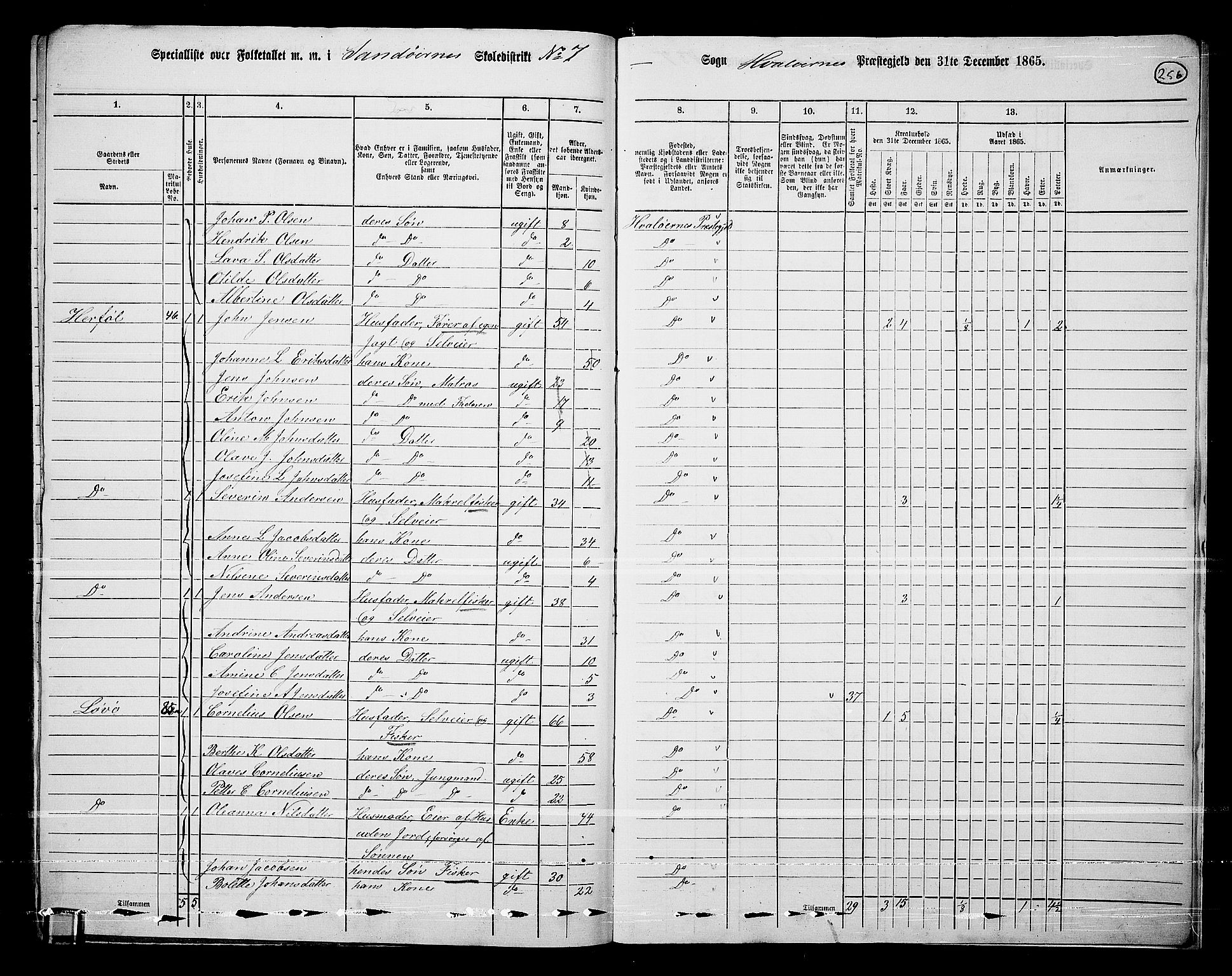 RA, 1865 census for Hvaler, 1865, p. 89