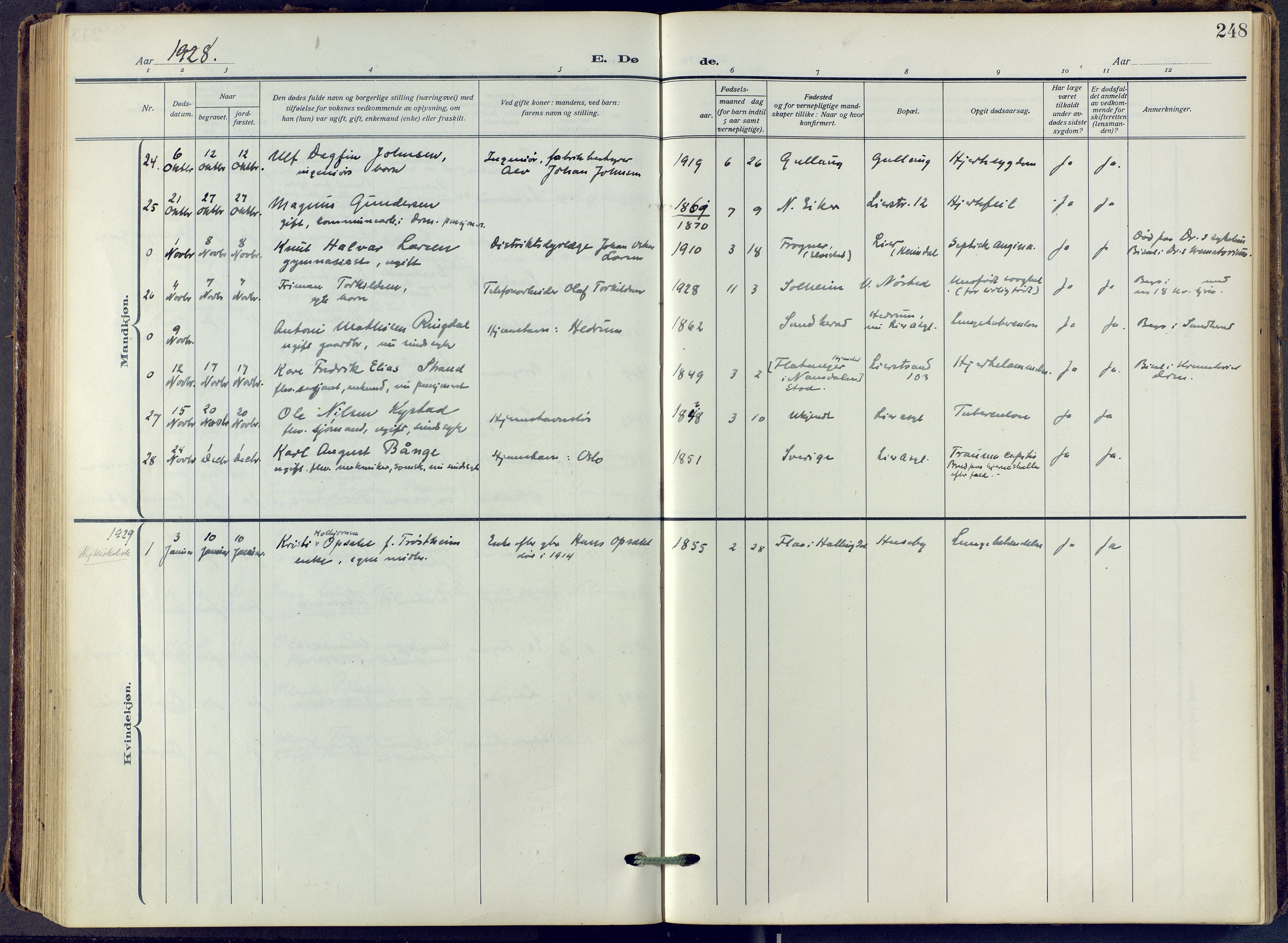 Lier kirkebøker, AV/SAKO-A-230/F/Fa/L0019: Parish register (official) no. I 19, 1918-1928, p. 248