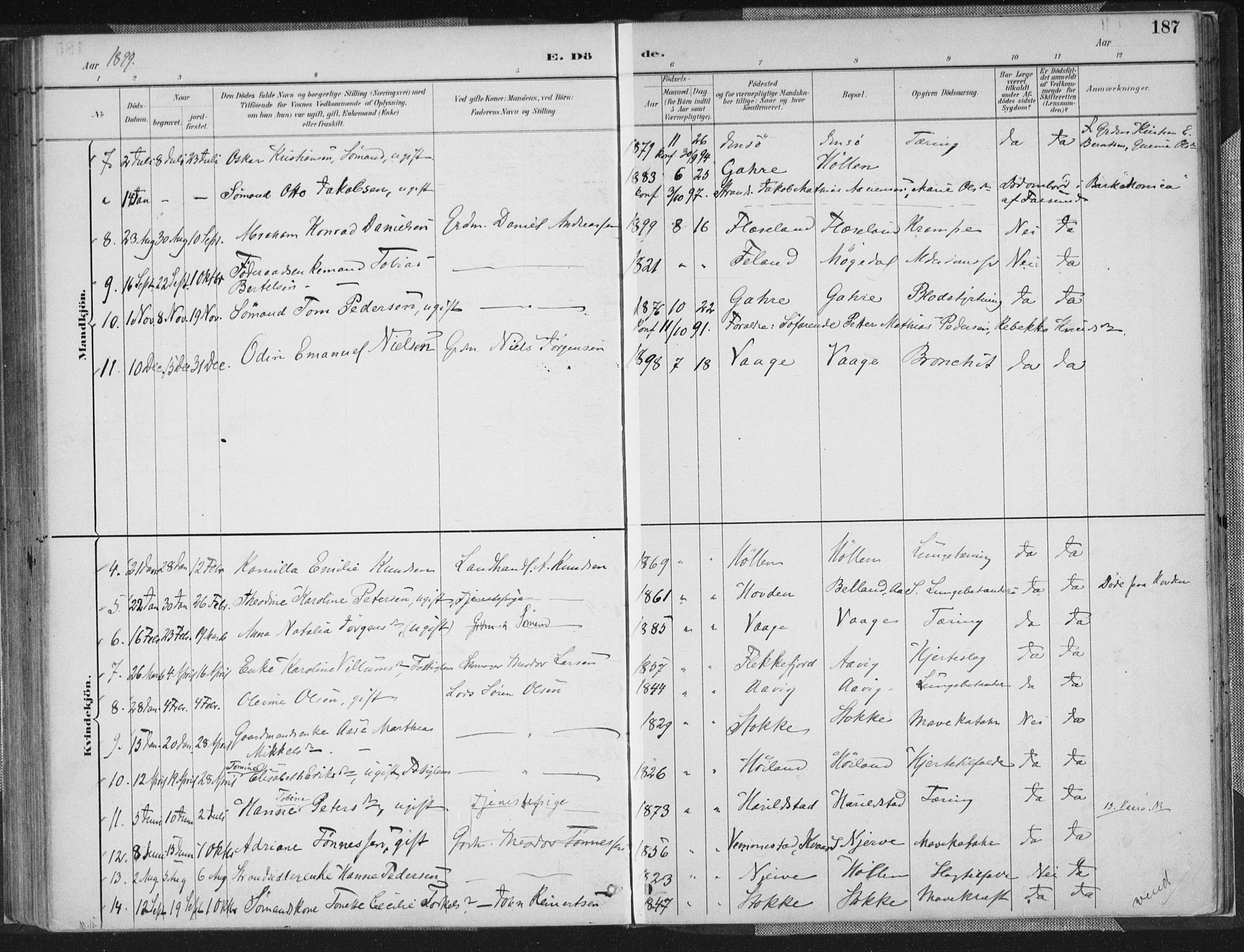 Sør-Audnedal sokneprestkontor, AV/SAK-1111-0039/F/Fa/Faa/L0004: Parish register (official) no. A 4, 1884-1909, p. 187