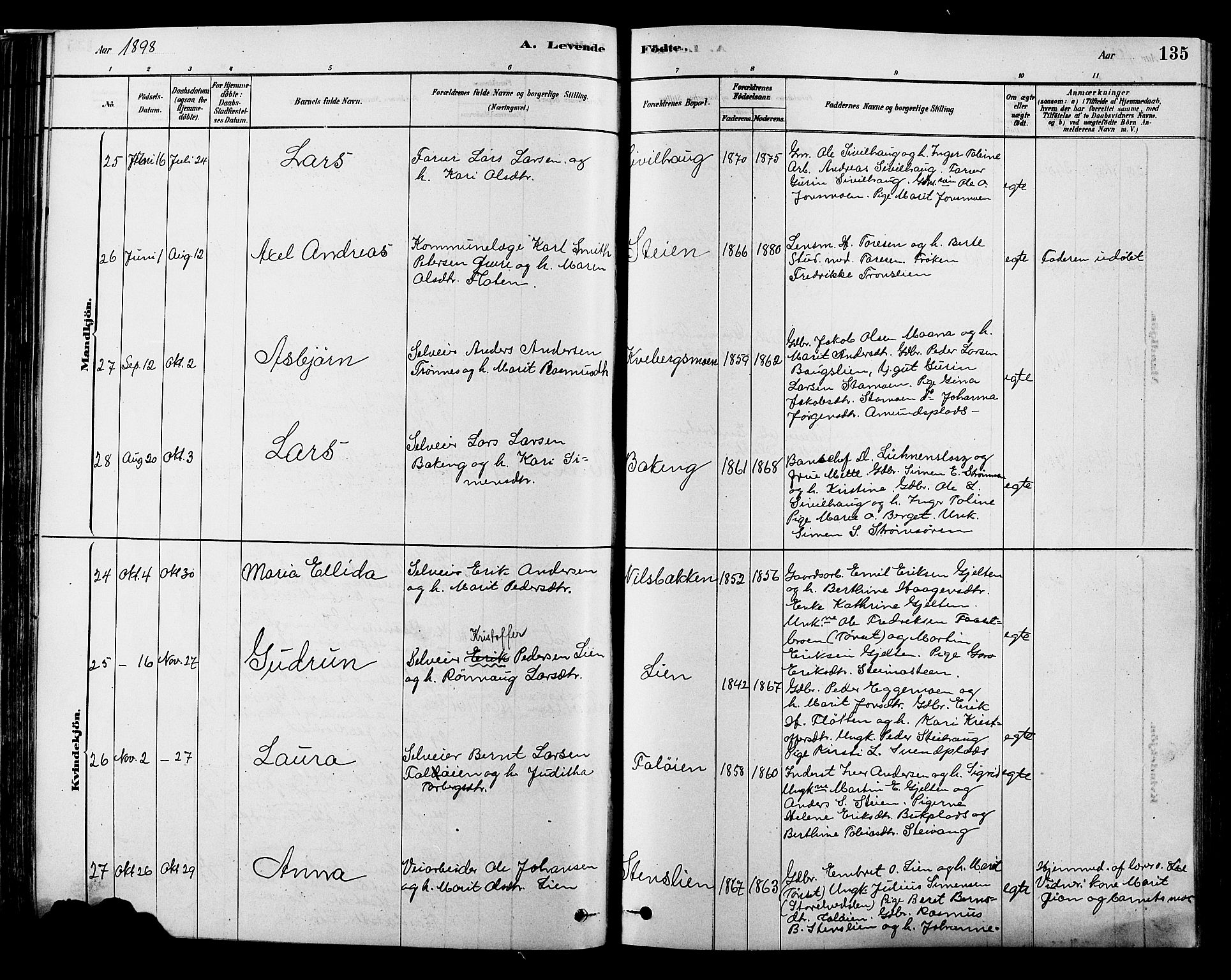 Alvdal prestekontor, AV/SAH-PREST-060/H/Ha/Hab/L0003: Parish register (copy) no. 3, 1878-1907, p. 135