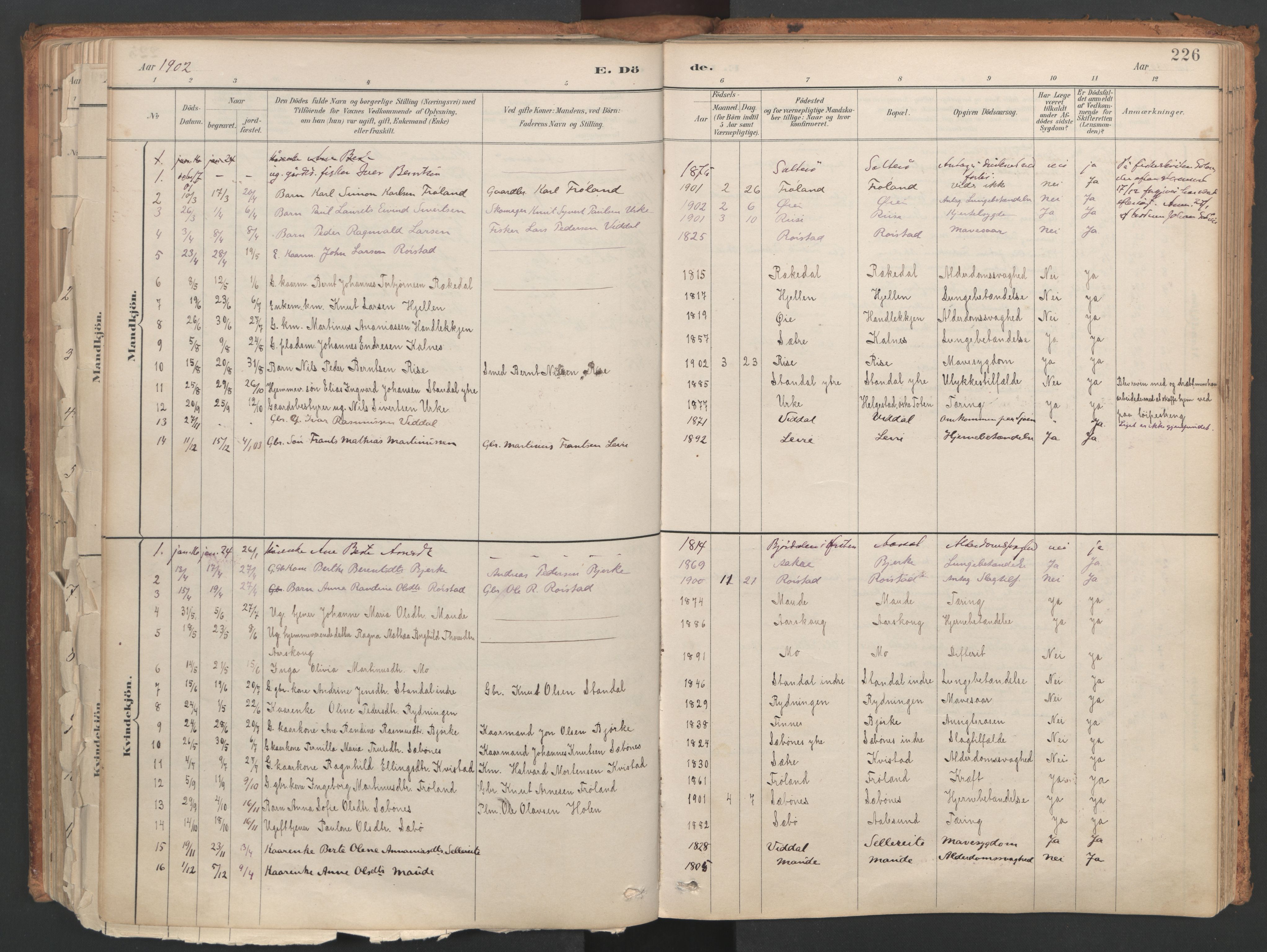 Ministerialprotokoller, klokkerbøker og fødselsregistre - Møre og Romsdal, SAT/A-1454/515/L0211: Parish register (official) no. 515A07, 1886-1910, p. 226