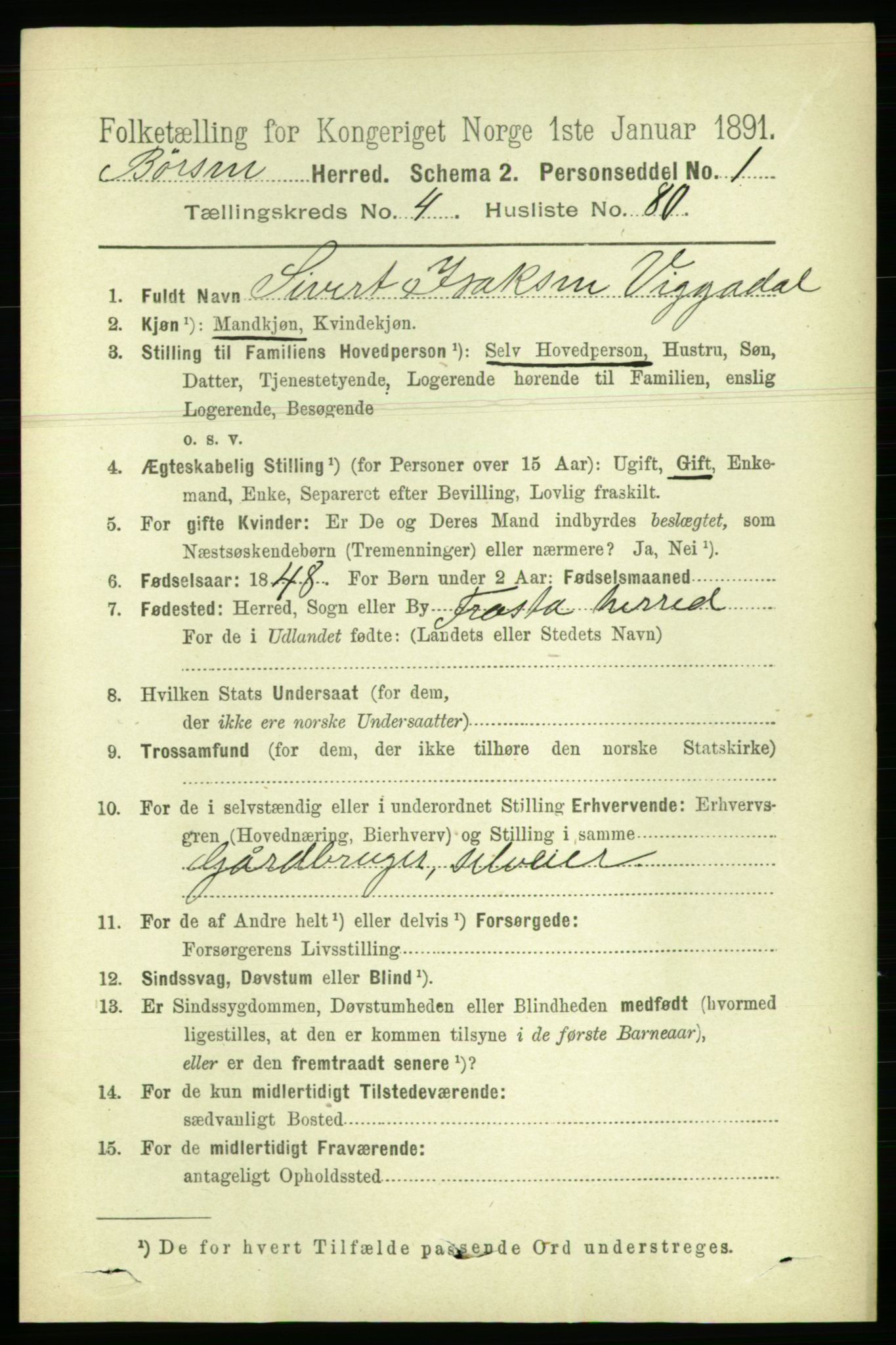 RA, 1891 census for 1658 Børsa, 1891, p. 1911