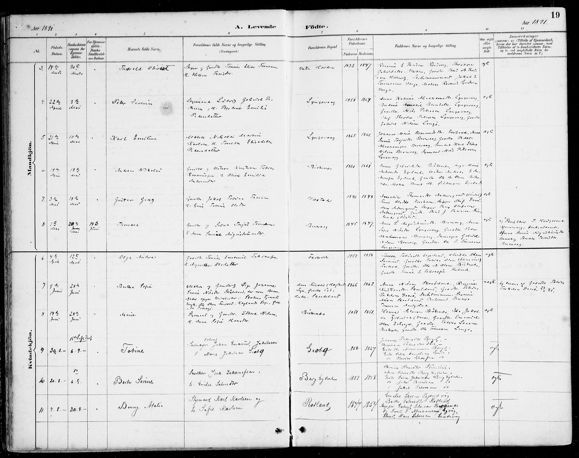 Herad sokneprestkontor, AV/SAK-1111-0018/F/Fa/Fab/L0005: Parish register (official) no. A 5, 1886-1913, p. 19