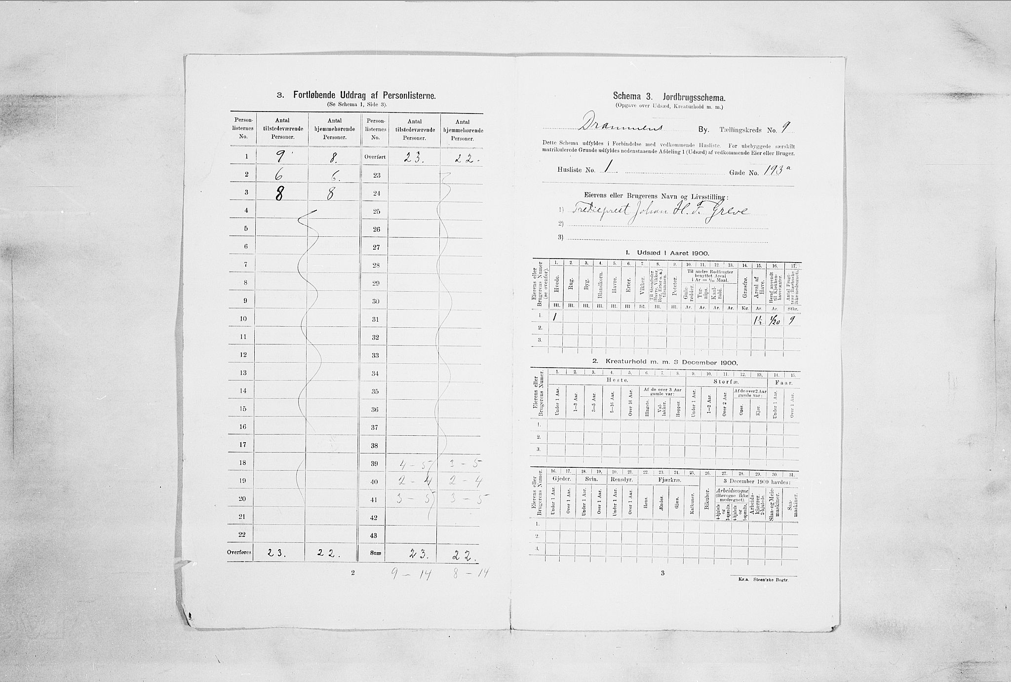 RA, 1900 census for Drammen, 1900, p. 1816