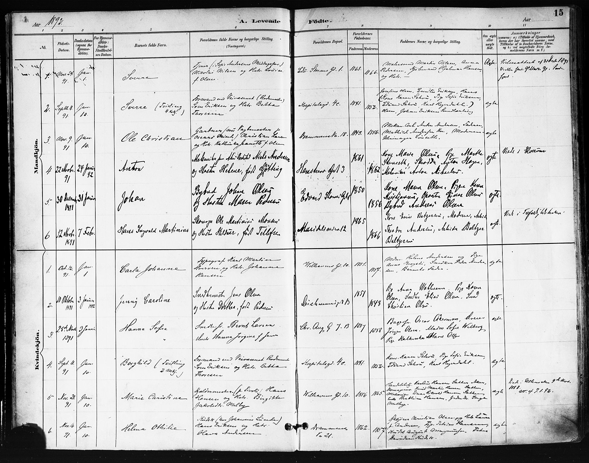 Trefoldighet prestekontor Kirkebøker, AV/SAO-A-10882/F/Fa/L0006: Parish register (official) no. I 6, 1891-1899, p. 15