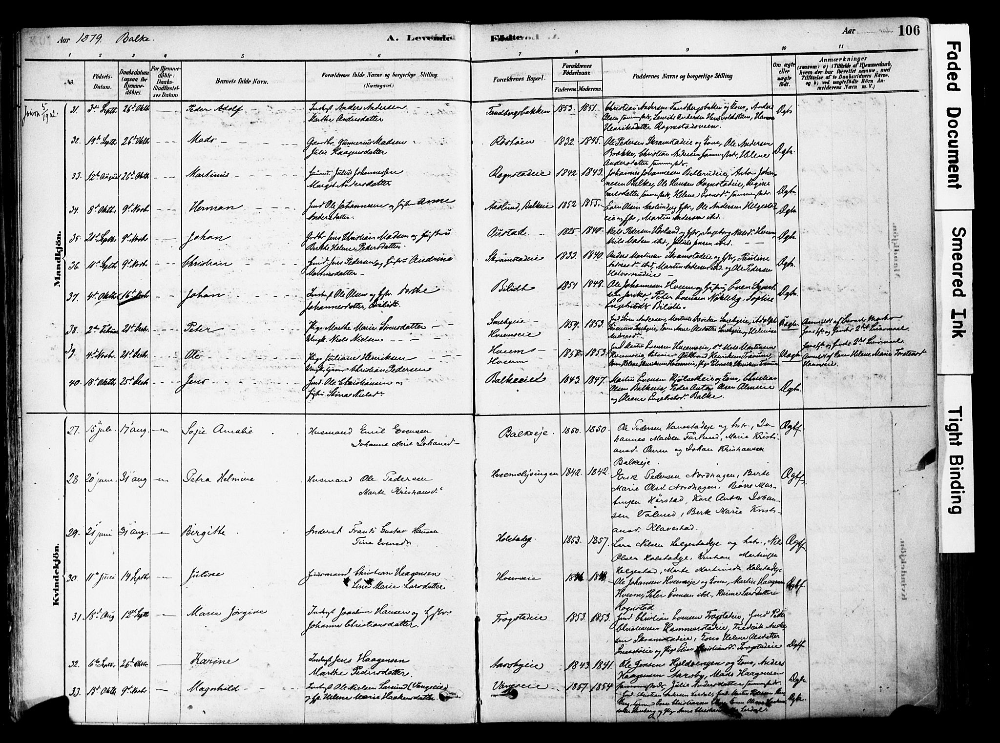 Østre Toten prestekontor, SAH/PREST-104/H/Ha/Haa/L0006: Parish register (official) no. 6 /2, 1878-1880, p. 106