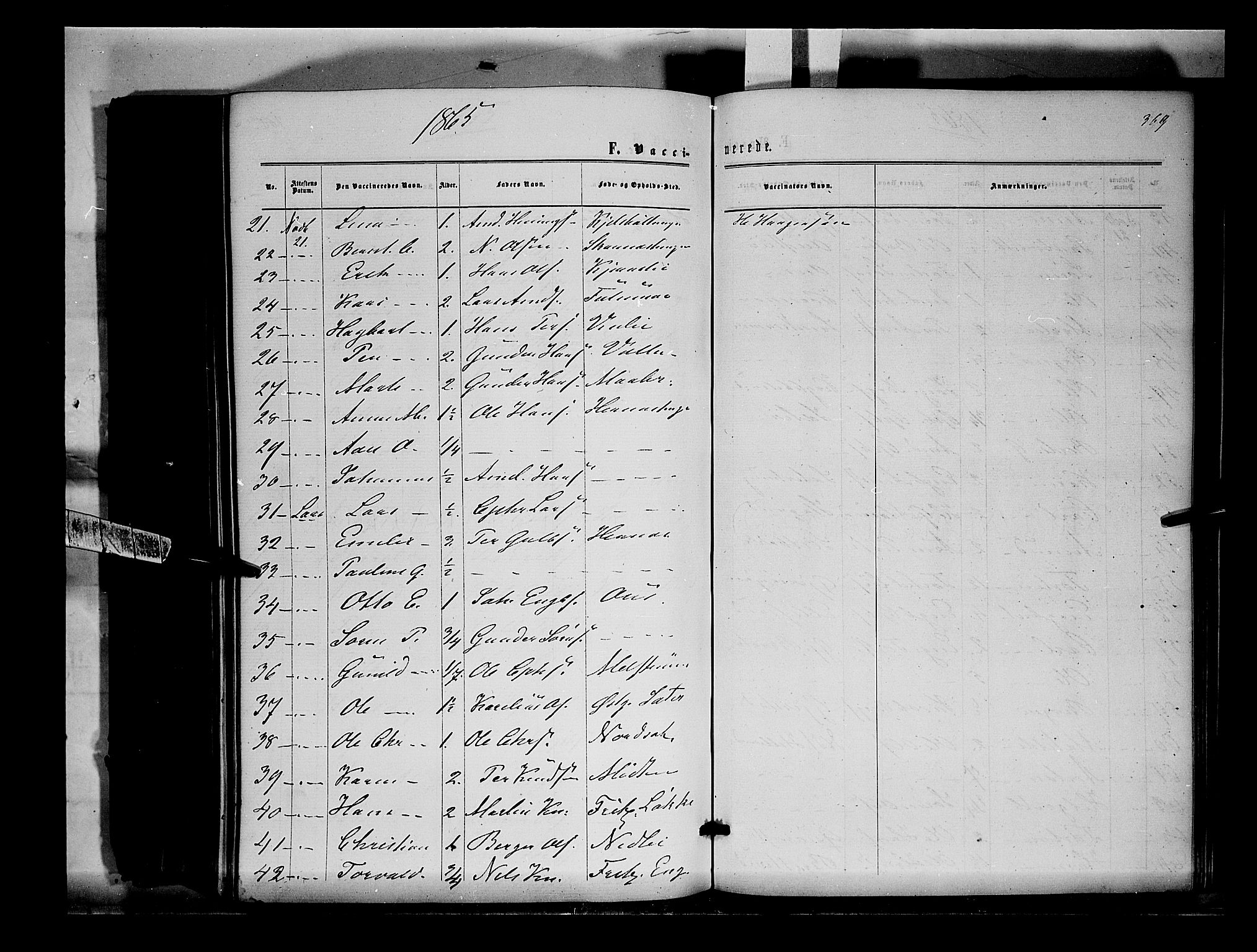 Sør-Odal prestekontor, AV/SAH-PREST-030/H/Ha/Haa/L0003: Parish register (official) no. 3, 1864-1870, p. 369