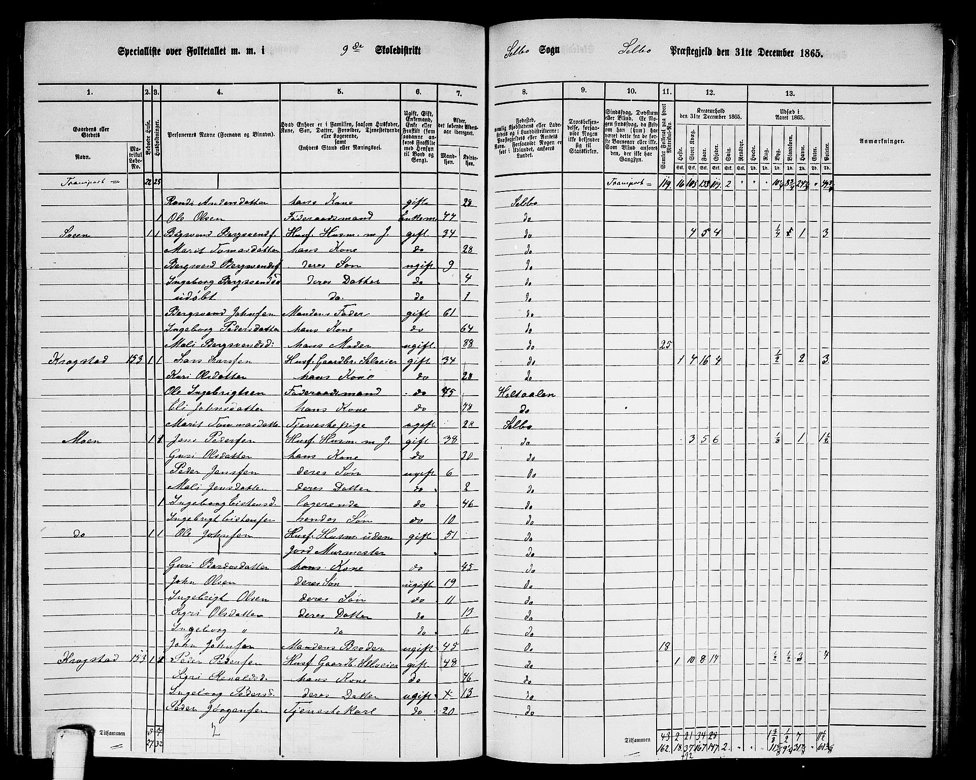 RA, 1865 census for Selbu, 1865, p. 161