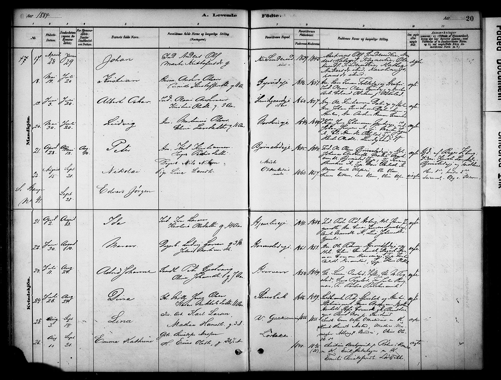 Stange prestekontor, AV/SAH-PREST-002/K/L0019: Parish register (official) no. 19, 1880-1891, p. 20