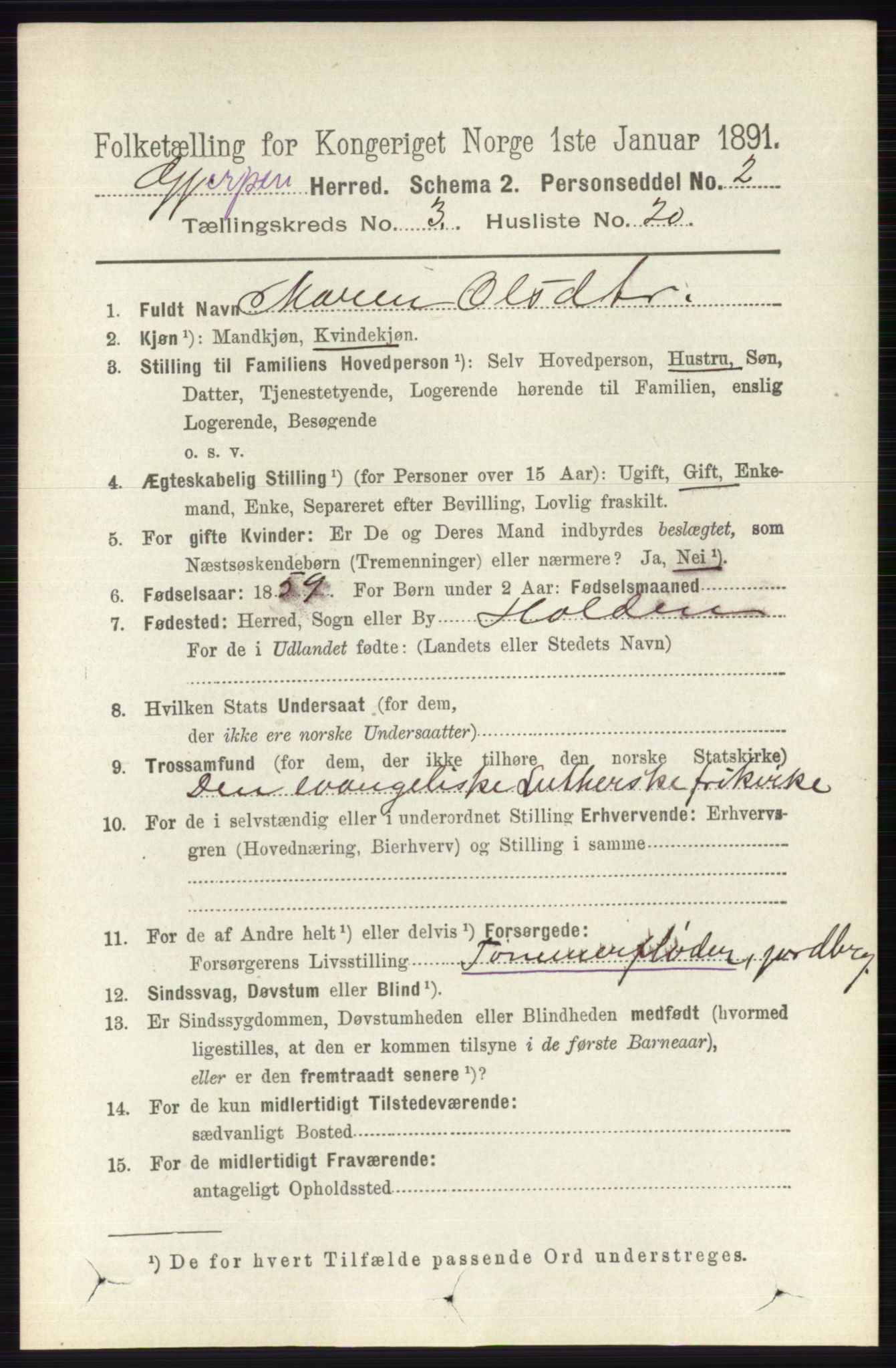 RA, 1891 census for 0812 Gjerpen, 1891, p. 1617