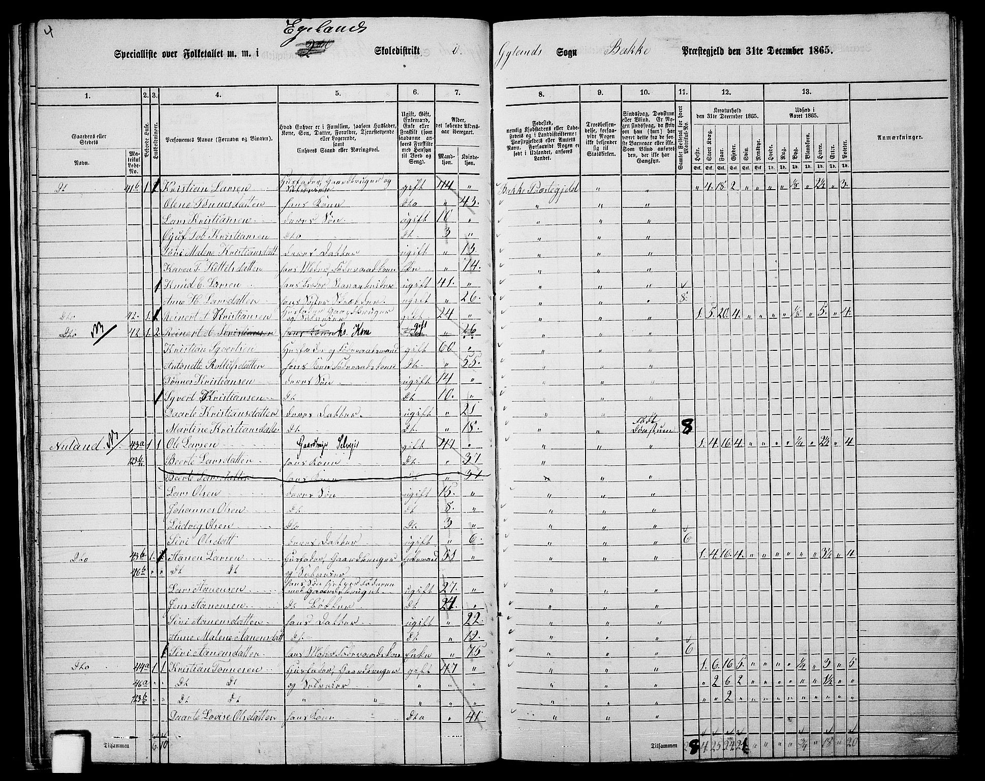 RA, 1865 census for Bakke, 1865, p. 25