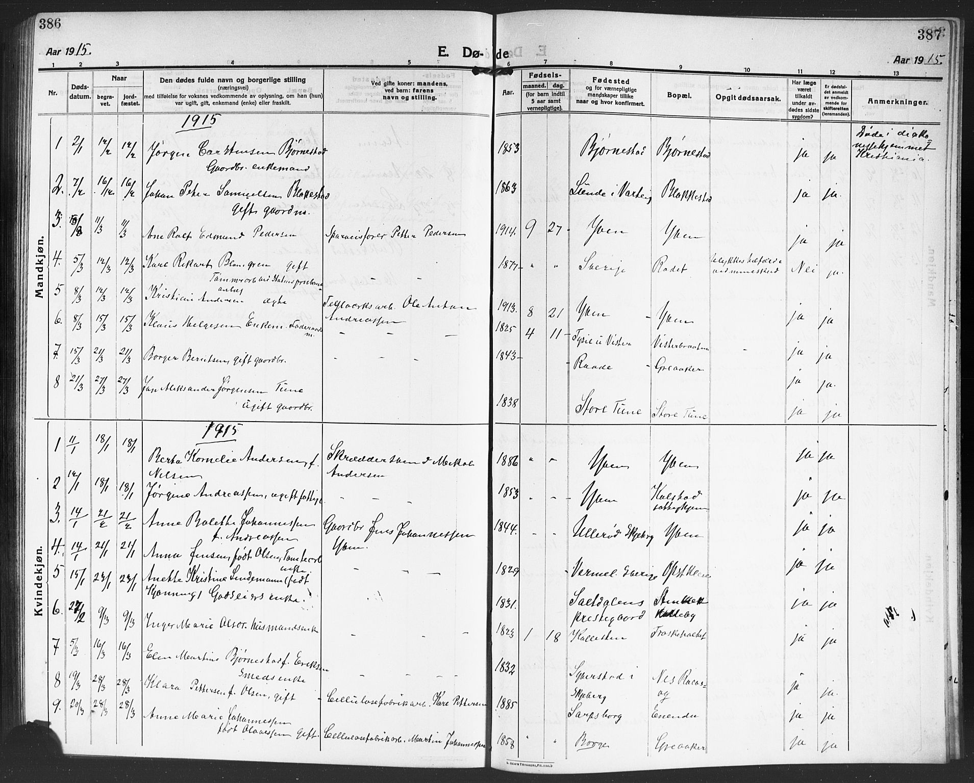 Tune prestekontor Kirkebøker, SAO/A-2007/G/Ga/L0003: Parish register (copy) no. I 3, 1914-1919, p. 386-387