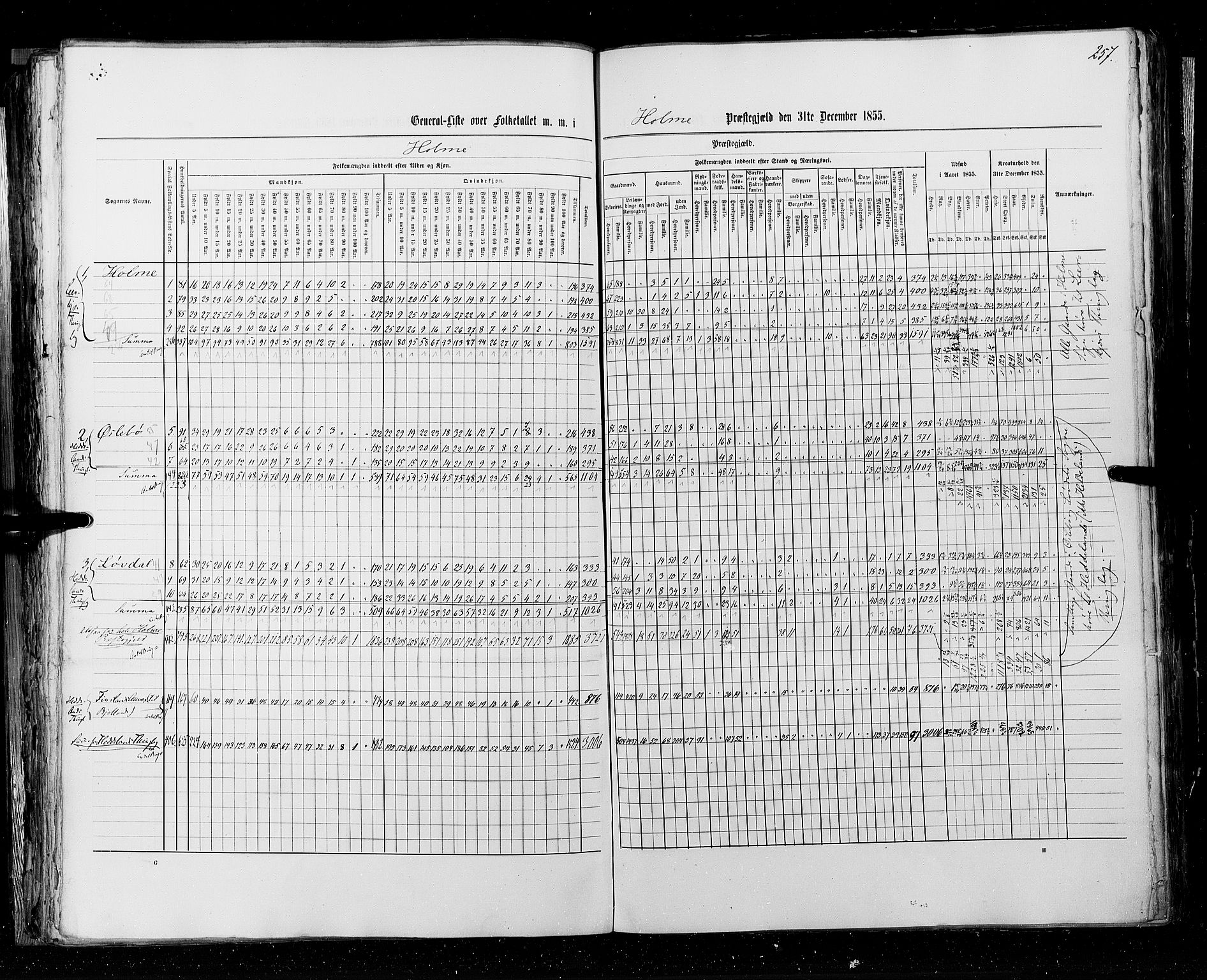 RA, Census 1855, vol. 3: Bratsberg amt, Nedenes amt og Lister og Mandal amt, 1855, p. 257