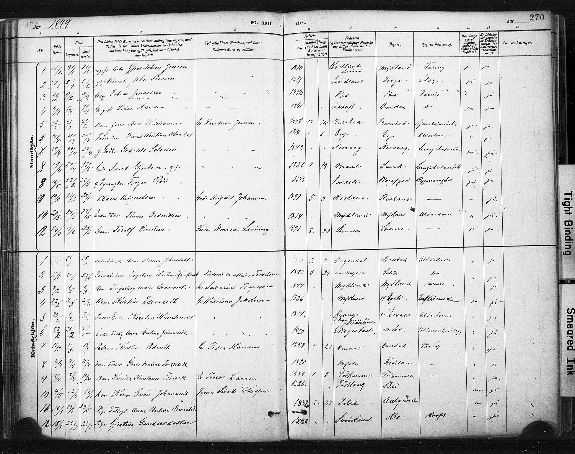 Sokndal sokneprestkontor, SAST/A-101808: Parish register (official) no. A 11.2, 1887-1905, p. 270