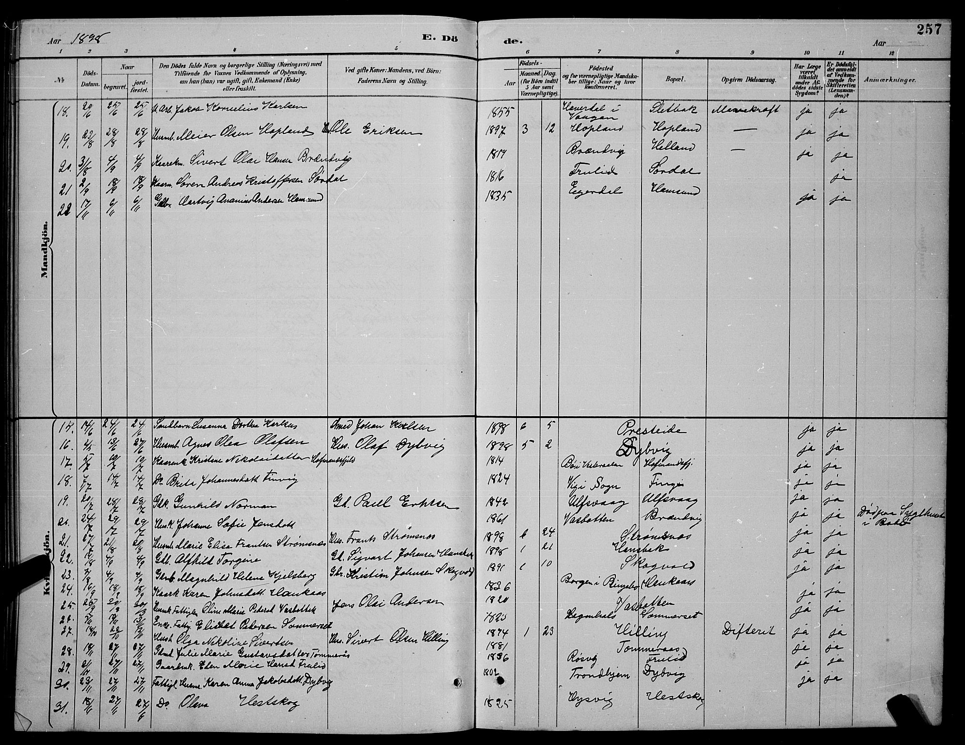 Ministerialprotokoller, klokkerbøker og fødselsregistre - Nordland, SAT/A-1459/859/L0859: Parish register (copy) no. 859C05, 1887-1898, p. 257