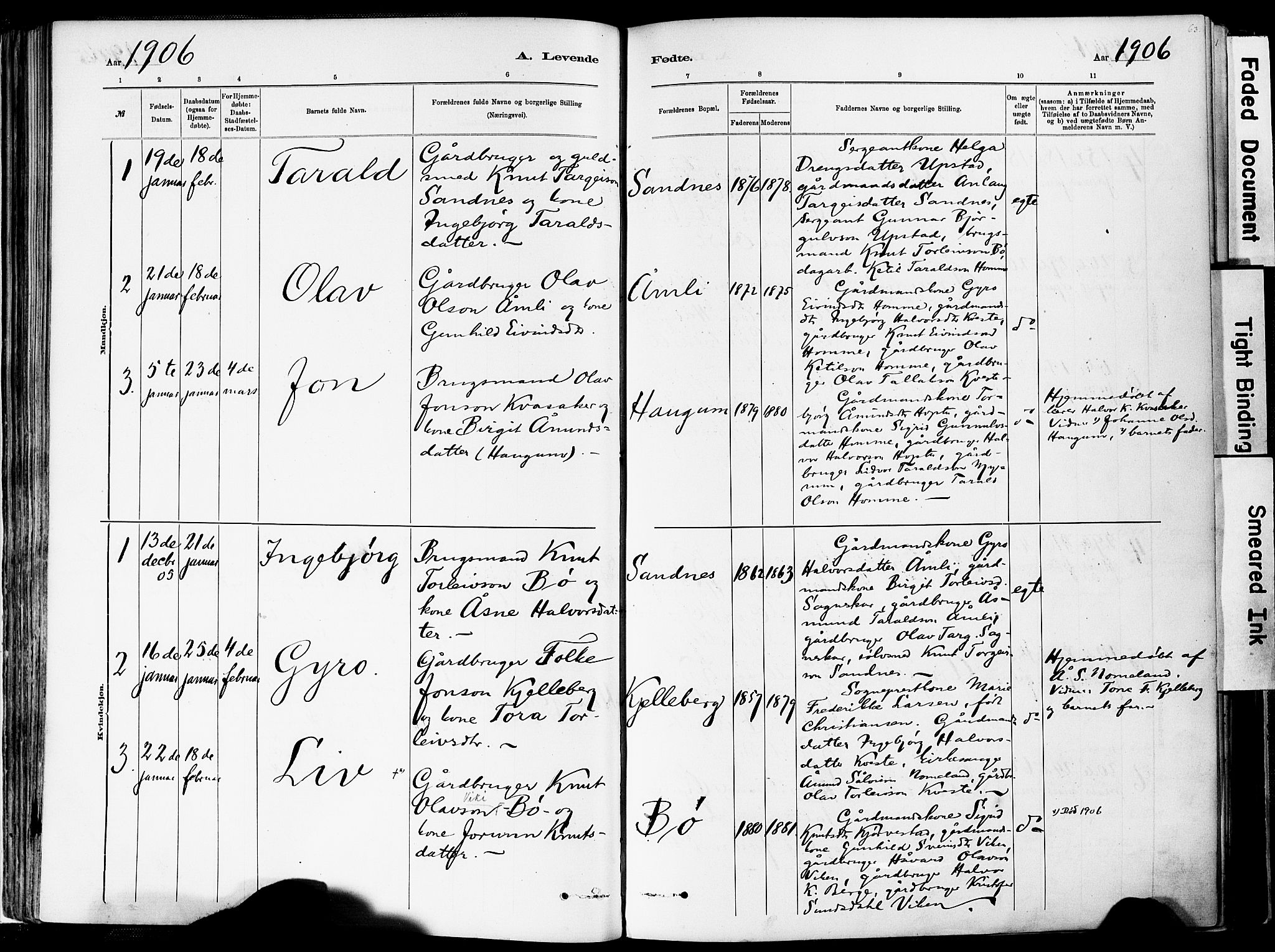 Valle sokneprestkontor, AV/SAK-1111-0044/F/Fa/Fac/L0009: Parish register (official) no. A 9, 1882-1913, p. 63