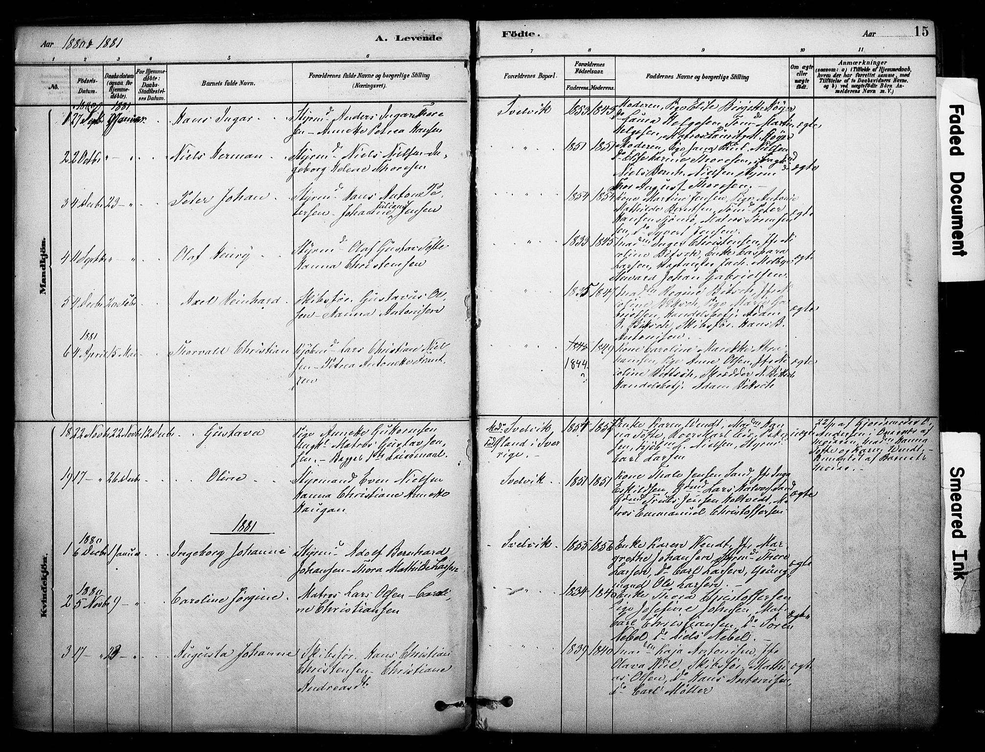 Strømm kirkebøker, AV/SAKO-A-322/F/Fb/L0001: Parish register (official) no. II 1, 1878-1899, p. 15