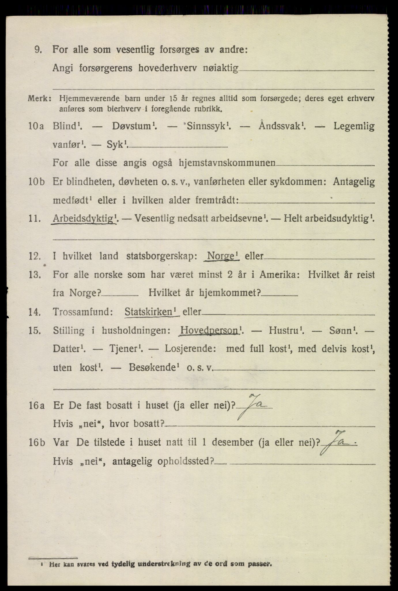 SAH, 1920 census for Skjåk, 1920, p. 1071