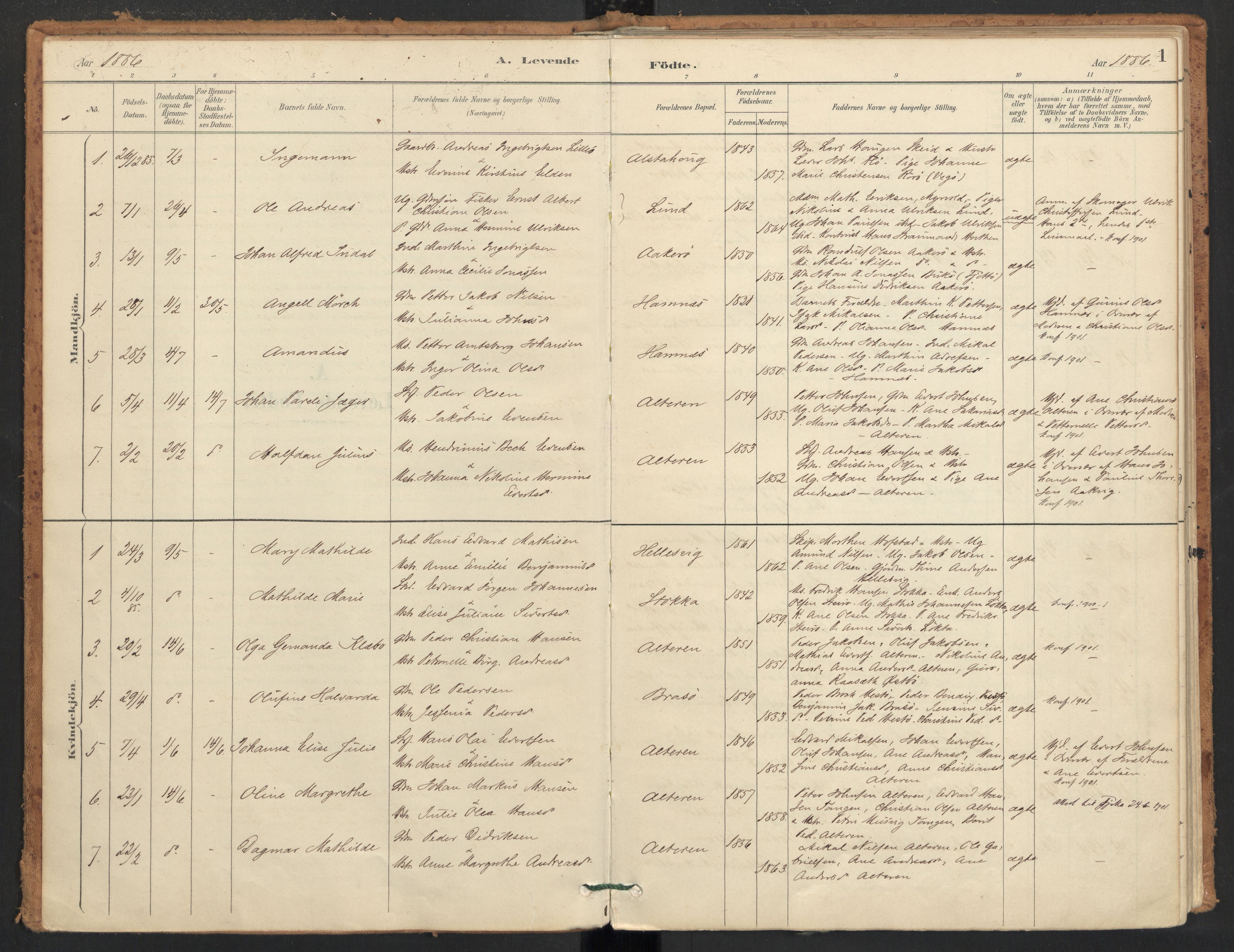 Ministerialprotokoller, klokkerbøker og fødselsregistre - Nordland, SAT/A-1459/830/L0453: Parish register (official) no. 830A17, 1886-1911, p. 1