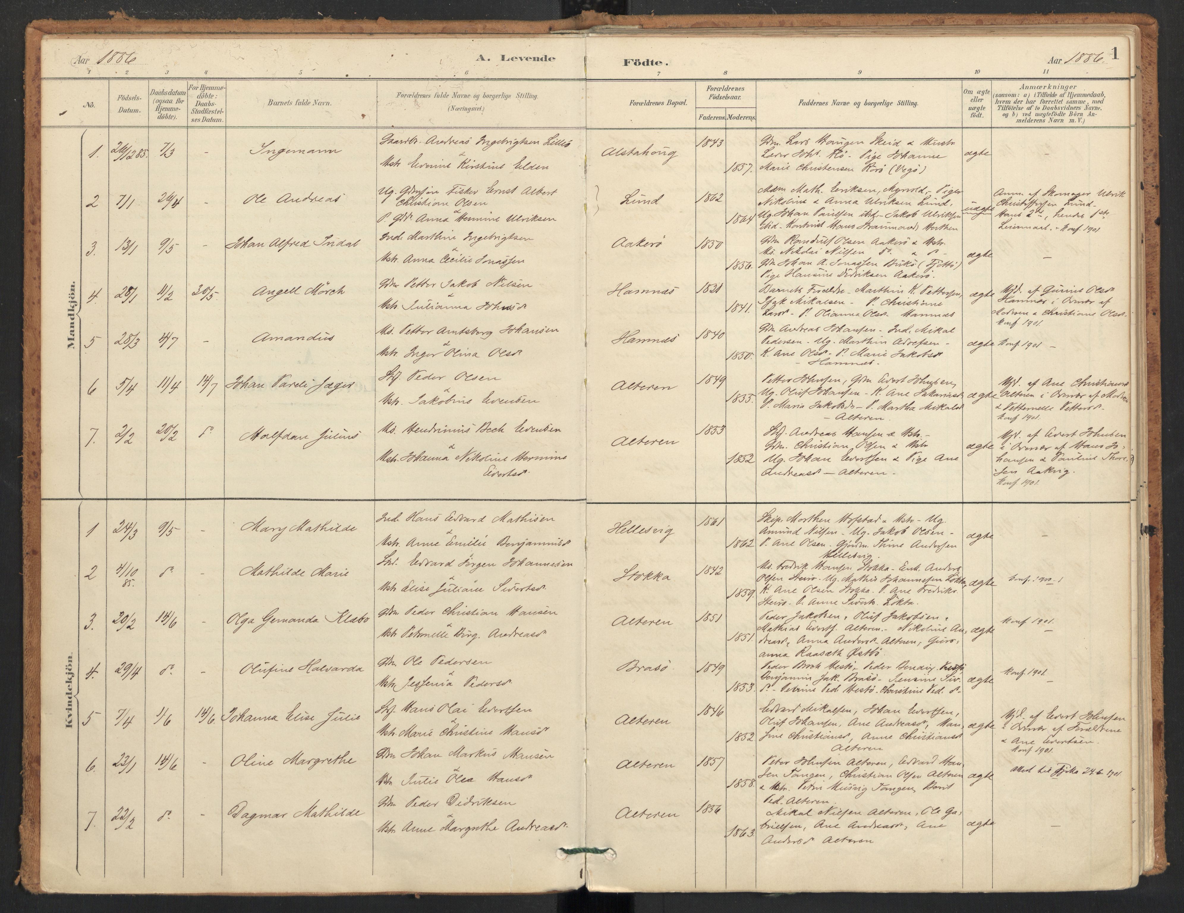 Ministerialprotokoller, klokkerbøker og fødselsregistre - Nordland, AV/SAT-A-1459/830/L0453: Parish register (official) no. 830A17, 1886-1911, p. 1